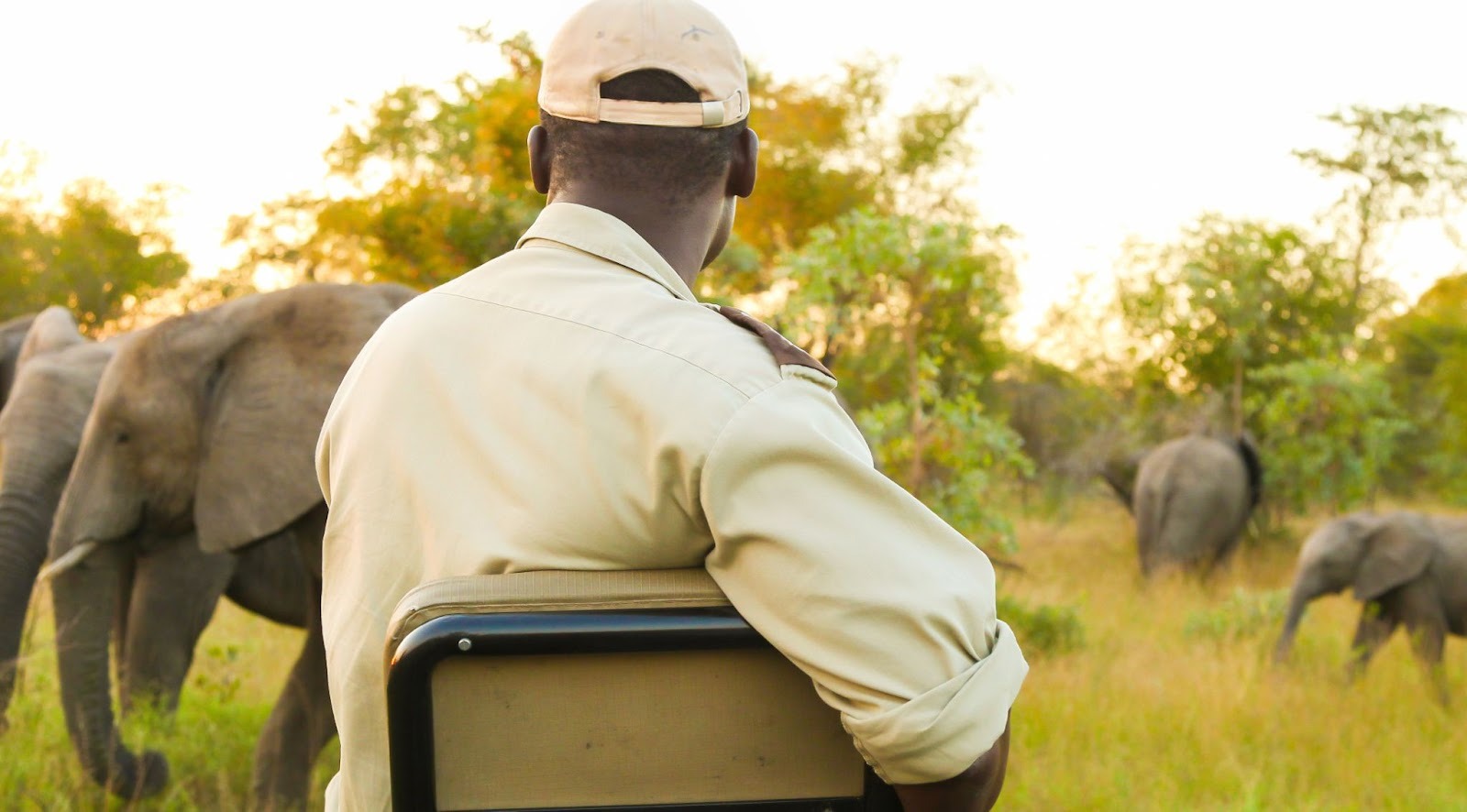 How to Choose the Best Kenya Safari Company for a Hassle-Free Safari