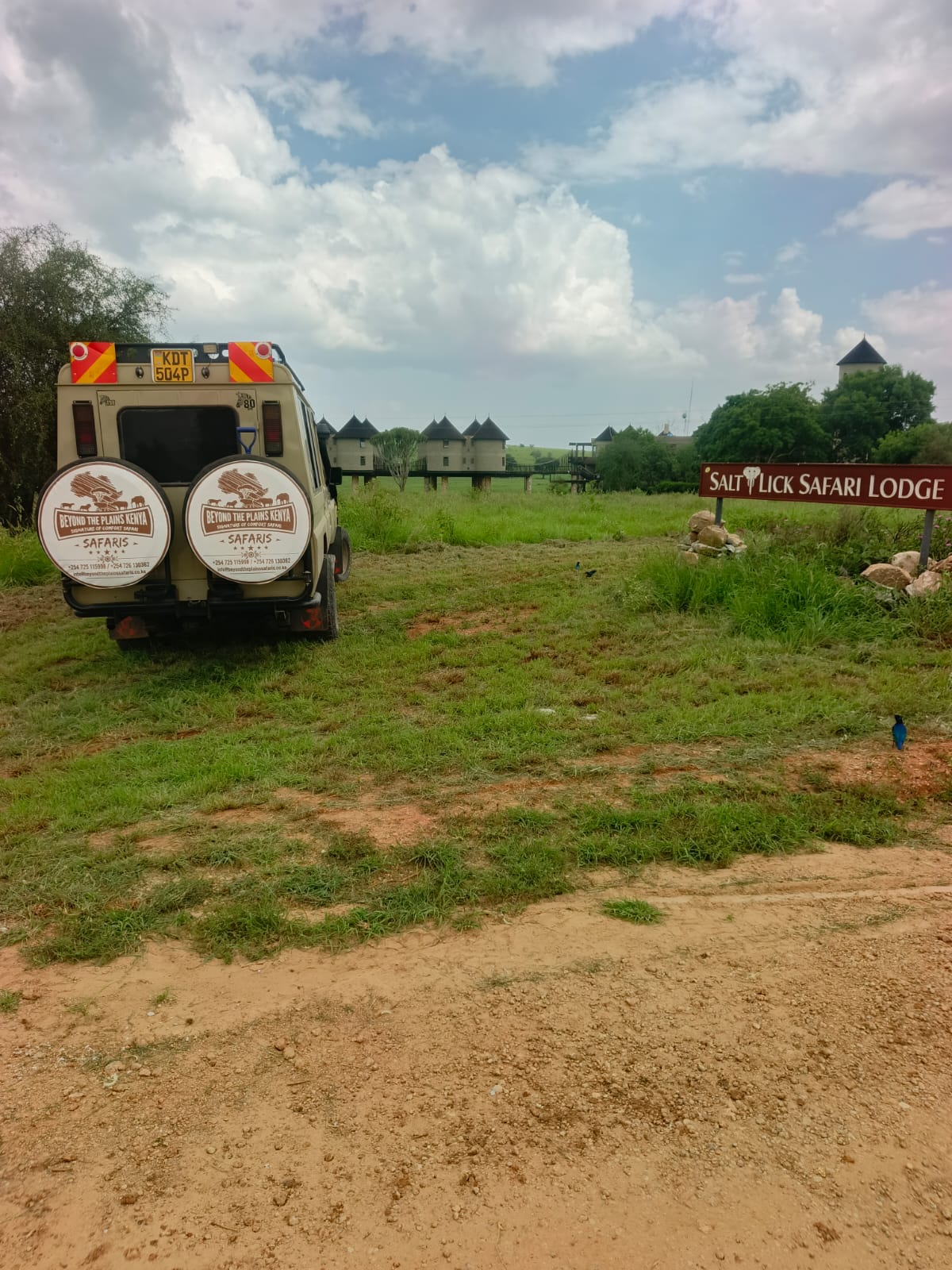 All-Inclusive Kenya Safari Tours 2026/2027: Your Ultimate Guide