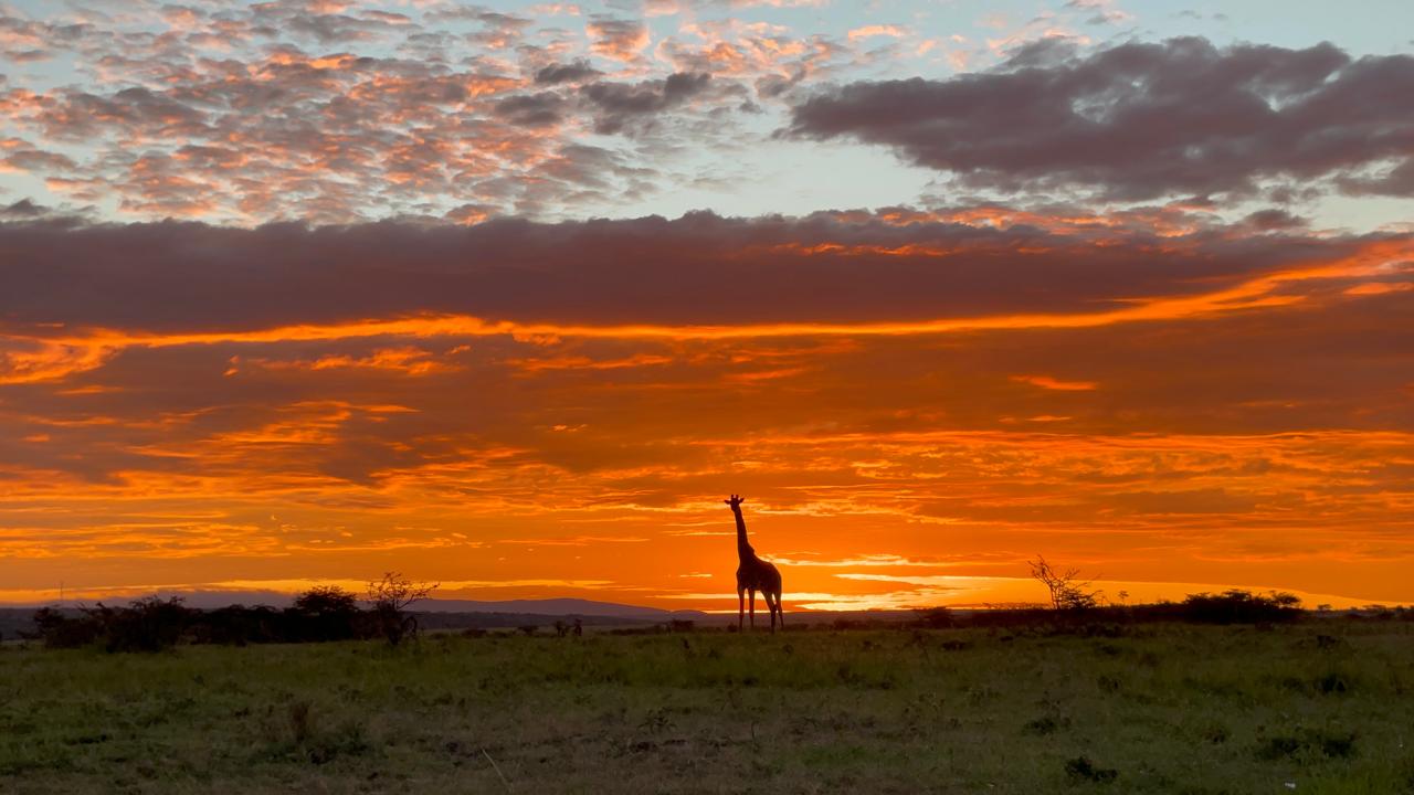 Is Kenya Safe for Tourists? The Complete Region-by-Region Safety Guide