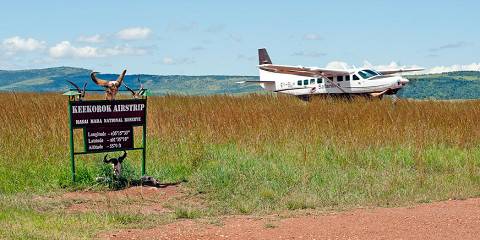 Full-day game drive with a bush lunch in the Masai Mara