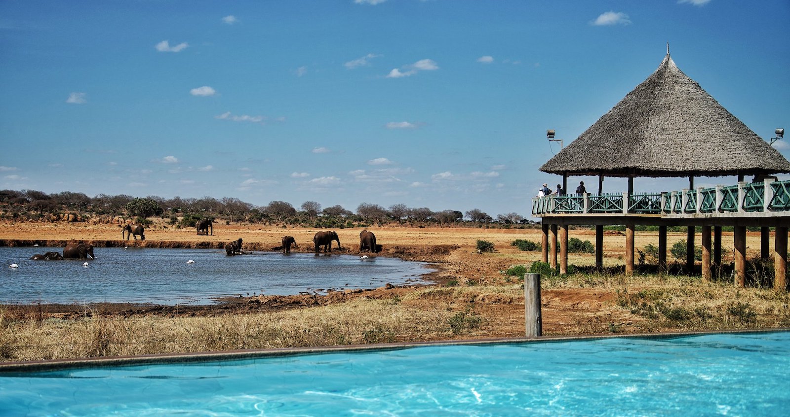 Kilaguni Serena Safari Lodge