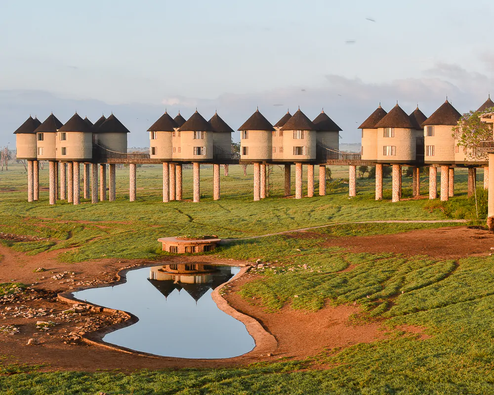 Salt Lick Safari Lodge