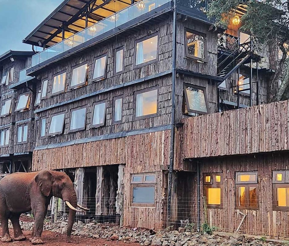 Treetops Lodge