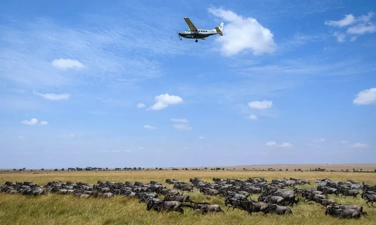 Aerial connecting flight from Samburu to the Masai Mara via Nairobi