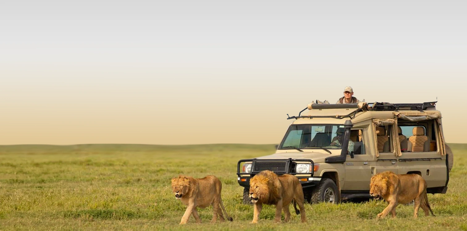 16 Days Long Safari Northern Circuit