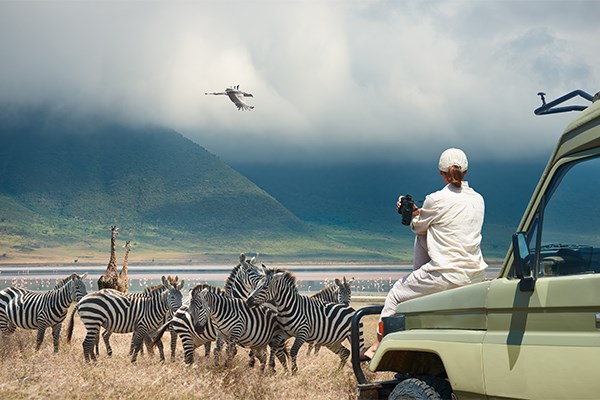Ngorongoro Crater wildlife Tanzania