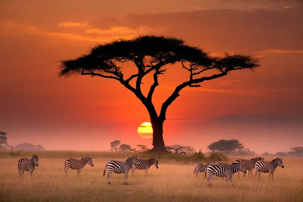 Wildebeest migration in the Serengeti, Tanzania