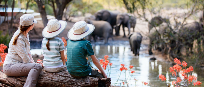 Maximize Your Kenya Safari Experience: Insider Tips for Wildlife Viewing, Lodging, and Adventure