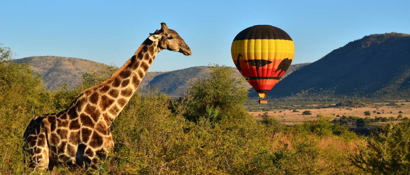 Everything You Need To Know About Serengeti Hot Air Balloon Safari