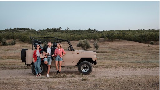 The Ultimate Guide to Guided African Safari Tours