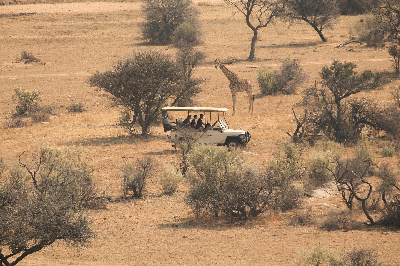 Comparing Safari Tours in Kenya: Group vs. Private Experiences