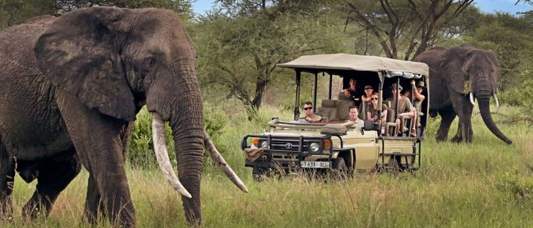 Private Kenya Safaris: The Ultimate 2024 Experience for Personalized Wildlife Adventures