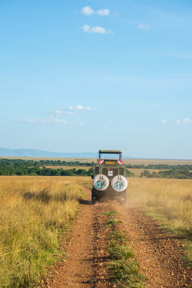 Landcruiser safari jeep on game drive