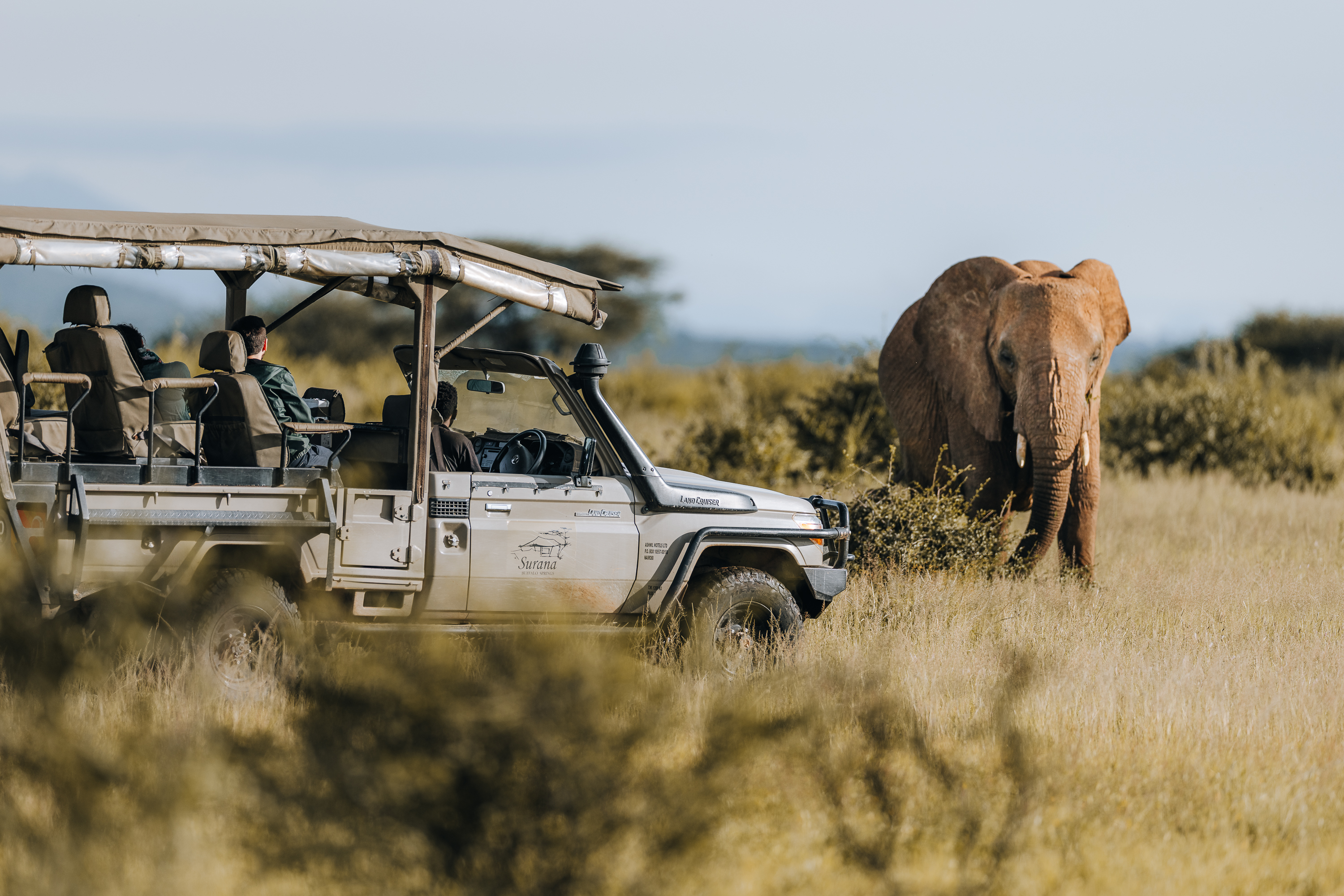 Classic safari game drive in Kenya&rsquo;s untouched wilderness. Photo: Kim Paffen
