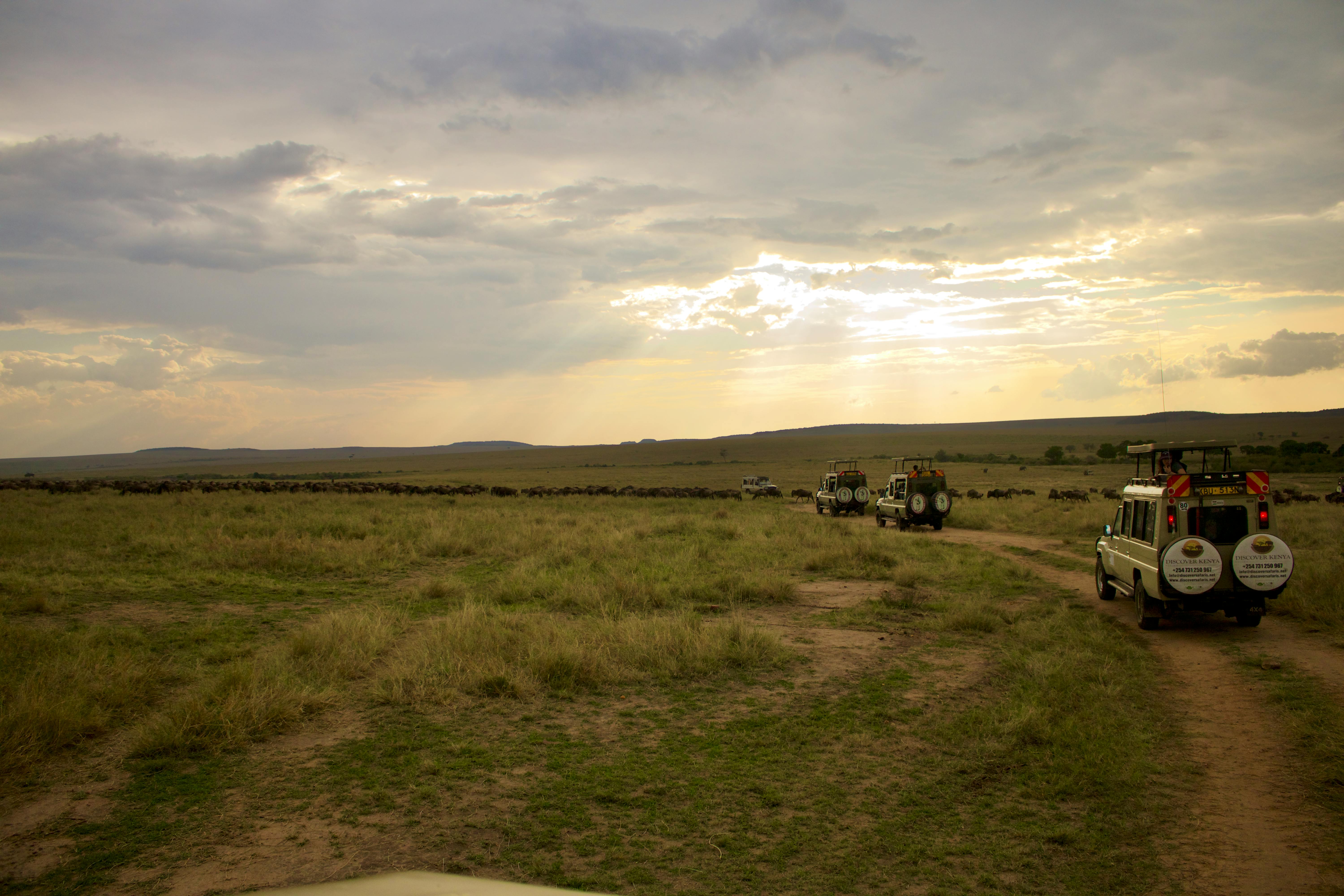 Top 10 Places to Visit on a Kenya and Tanzania Safari Tour
