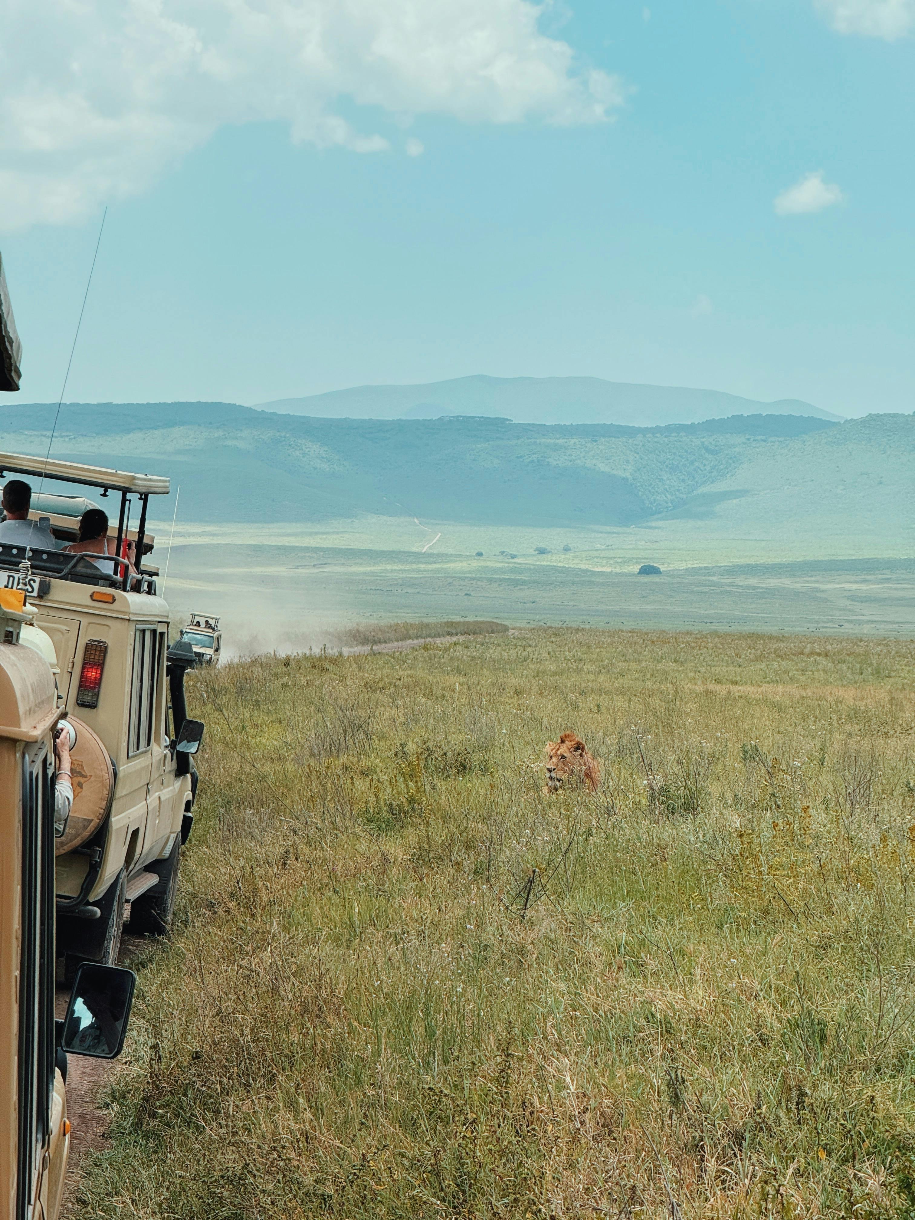 Top 10 Places to Visit on a Kenya and Tanzania Safari Tour