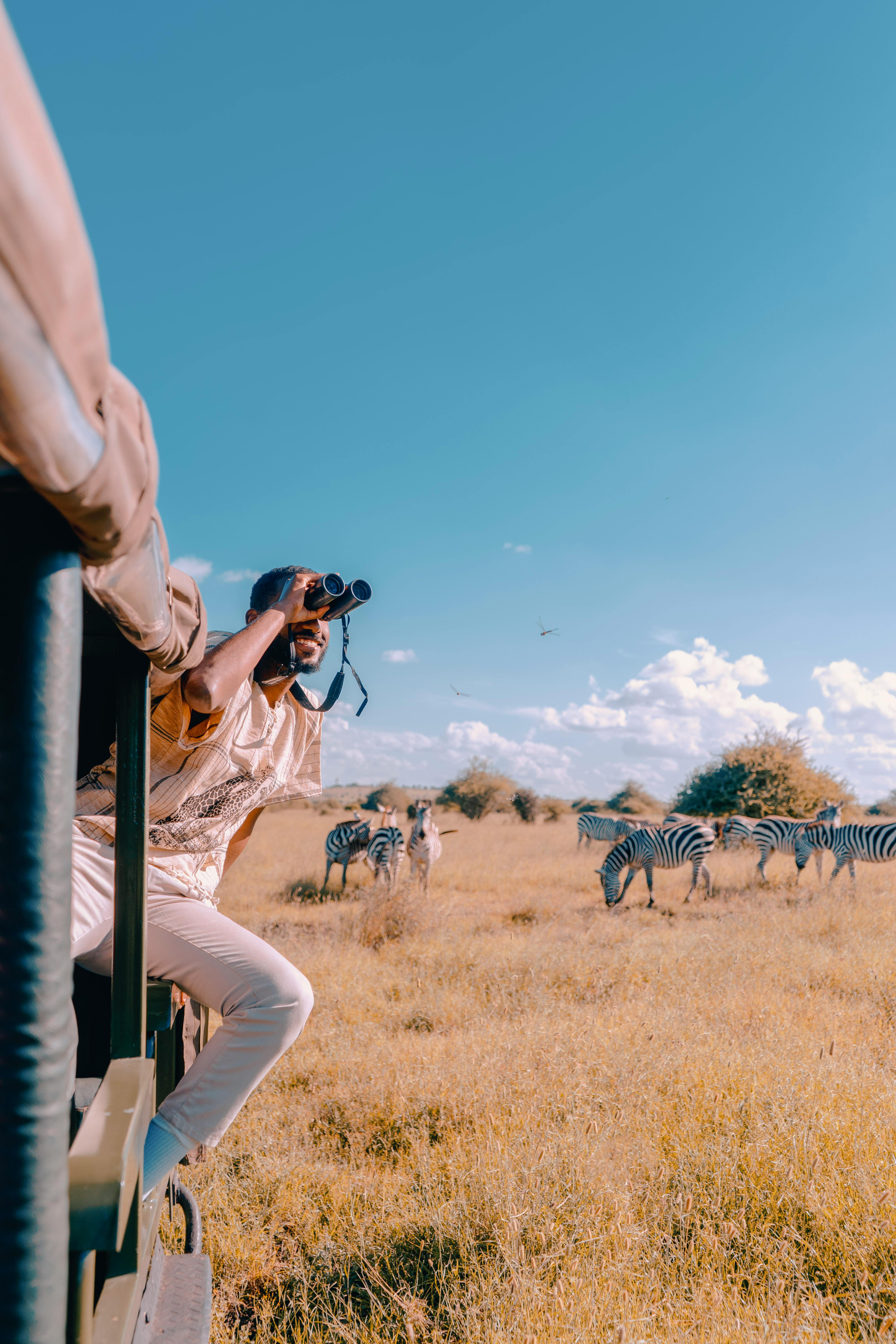 Man Traveling on a safari Jeep, Observing Zebras Grazing in a Savannah
