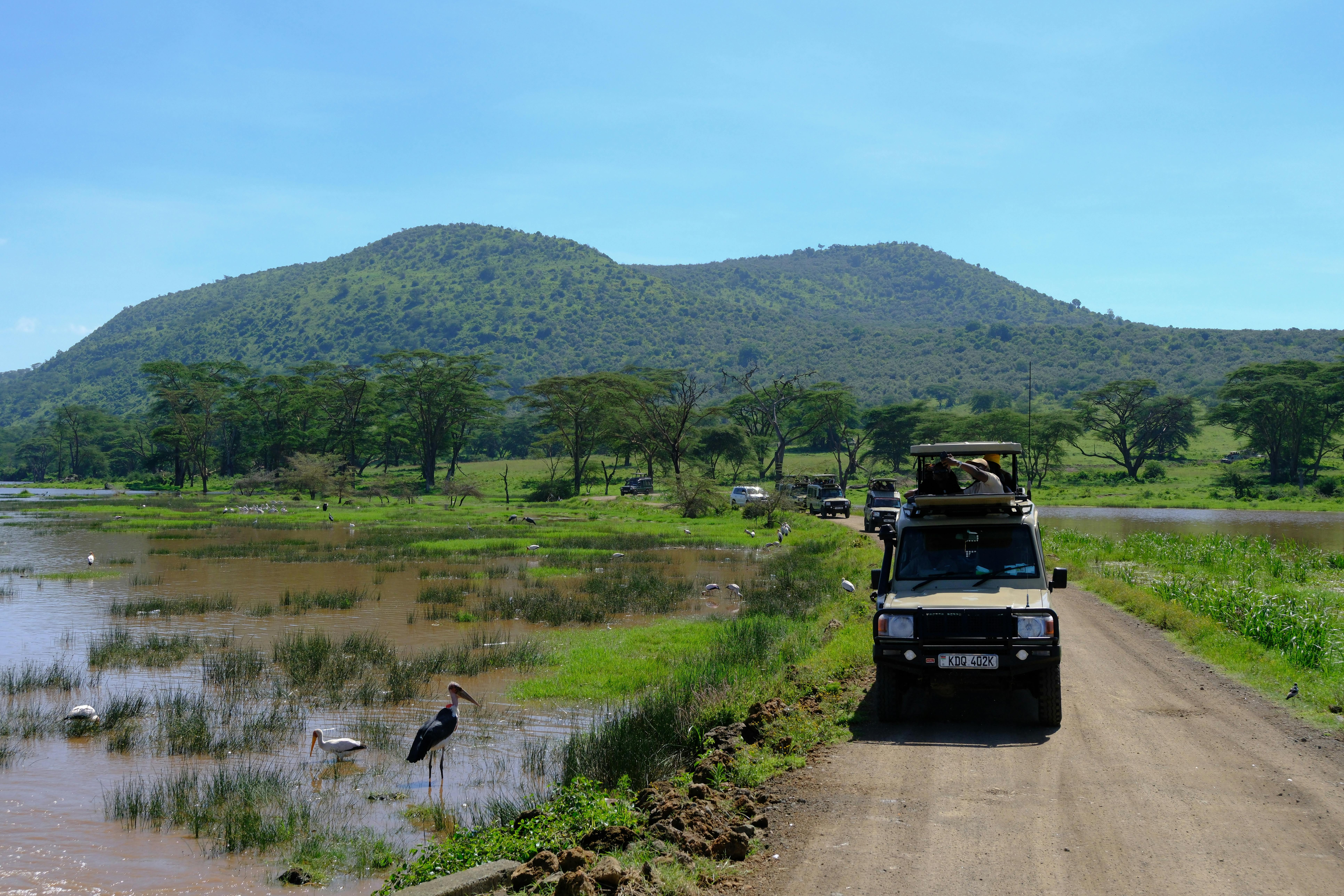 Safari Adventure in Nakuru, Kenya's Scenic Landscape