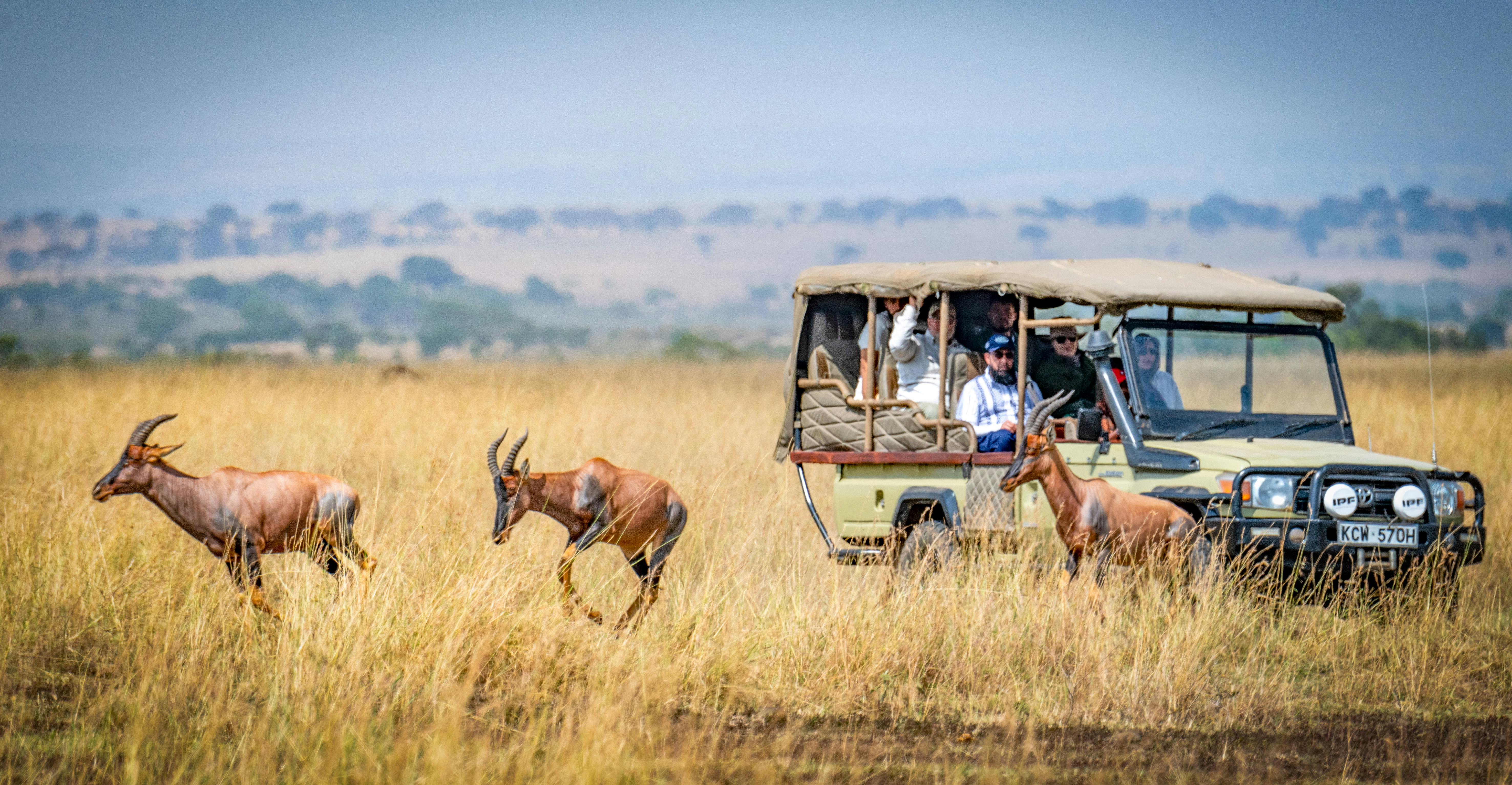 10-Day Private Kenya & Tanzania Safari Review