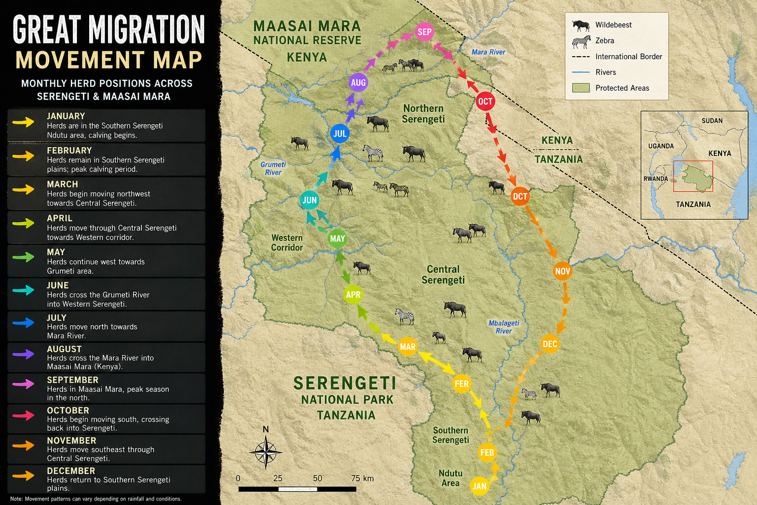 Great Migration calendar showing wildebeest movement between Serengeti and Maasai Mara by month