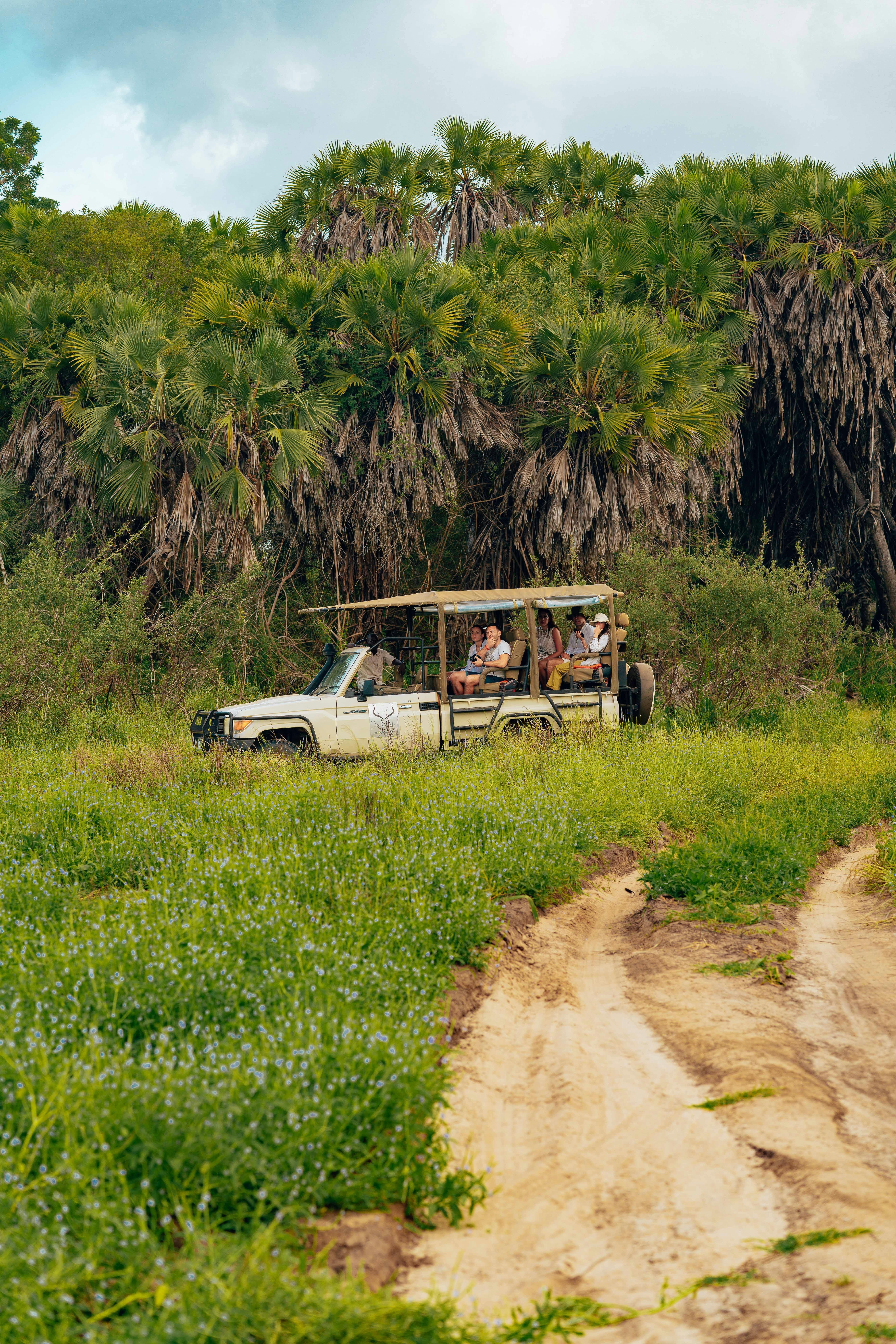 People Sitting in the Back of a Safari Vehicle on a Trip in a Tropical Rural Plac