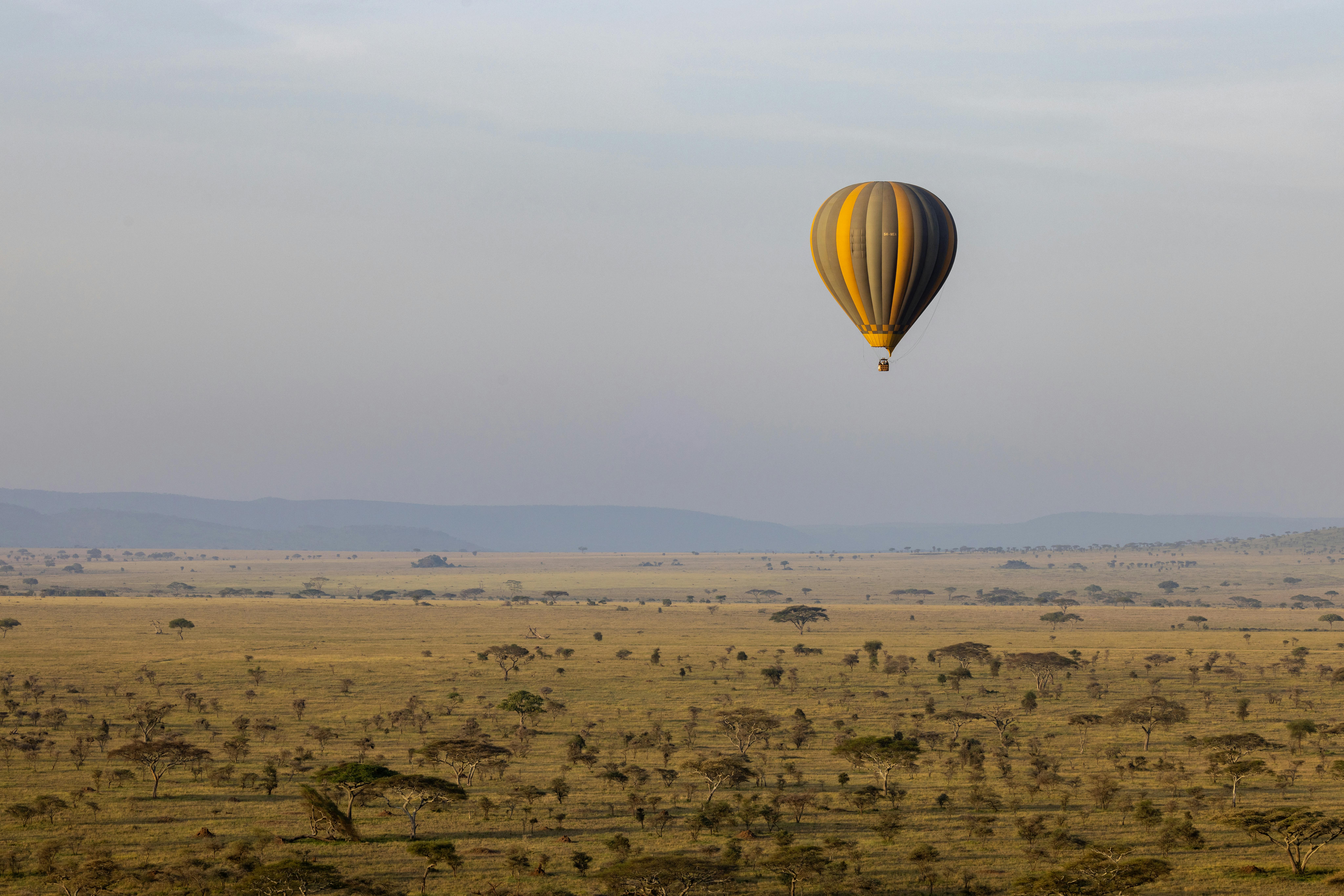 Hot Air Balloon Floating over Savannah