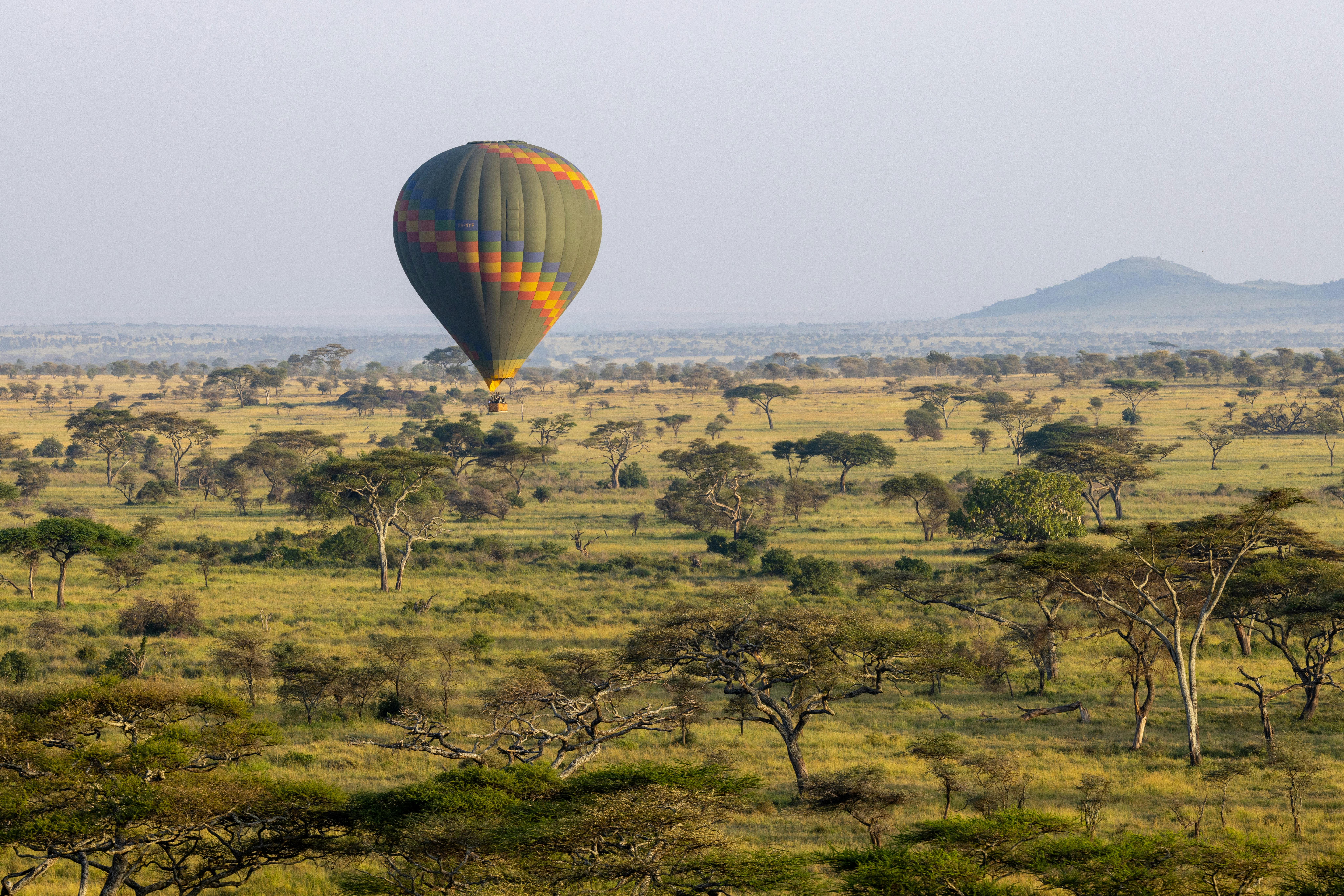 Hot Air Balloon Safari in the Maasai Mara: Is It Worth the Cost? (2026 Honest Review)