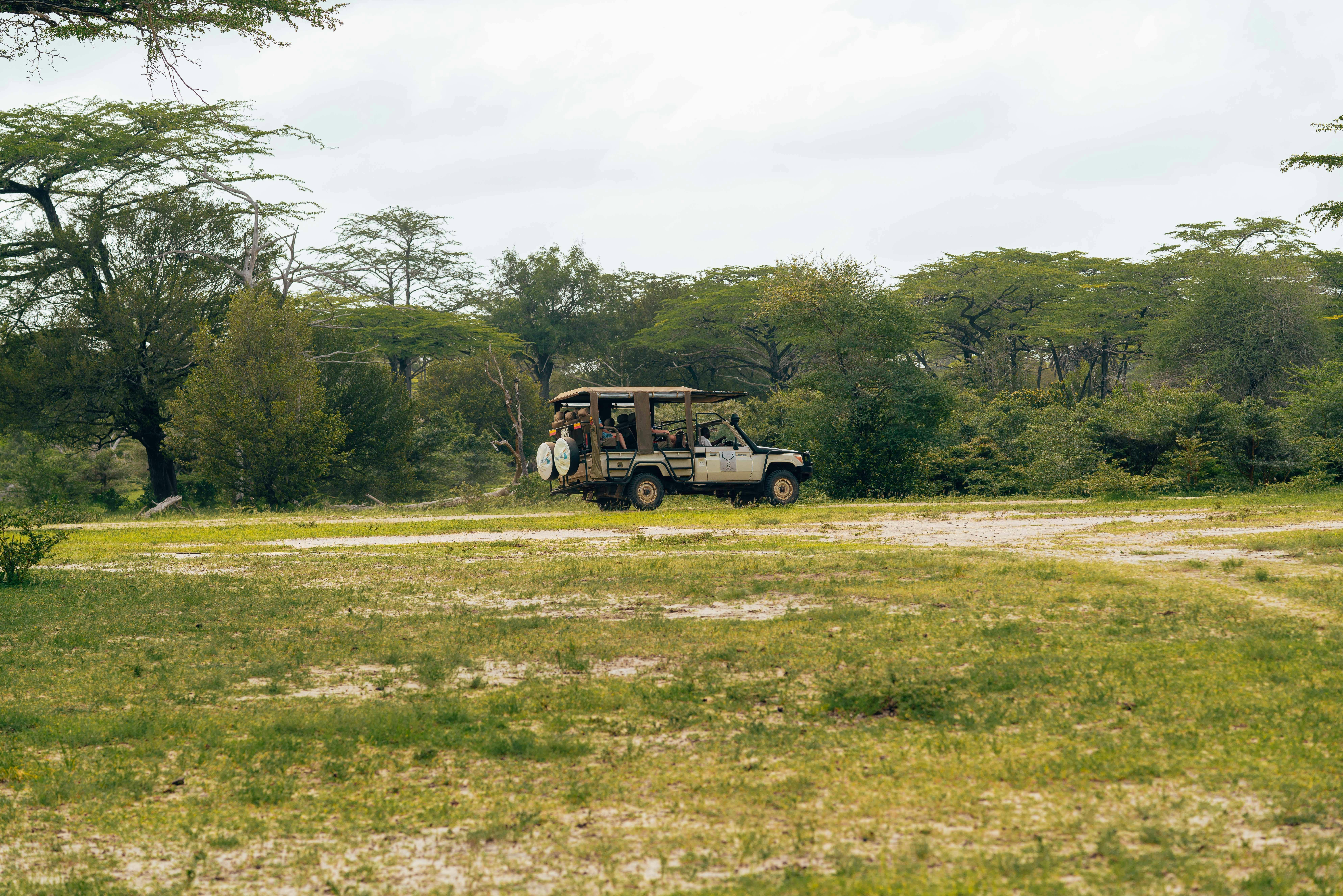 afari vehicle exploring a lush, open landscape with acacia trees in the background