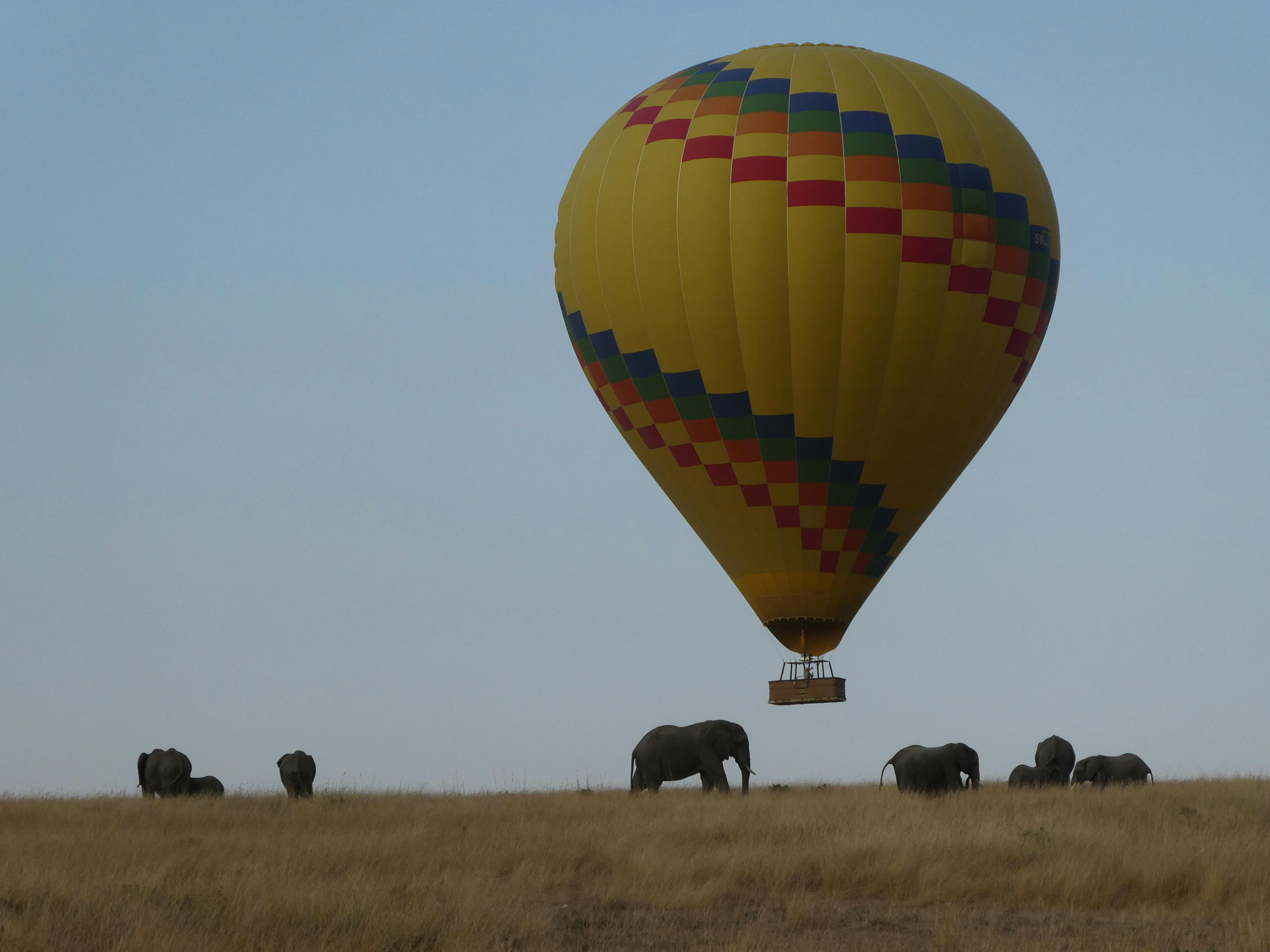 Balloon Safaris