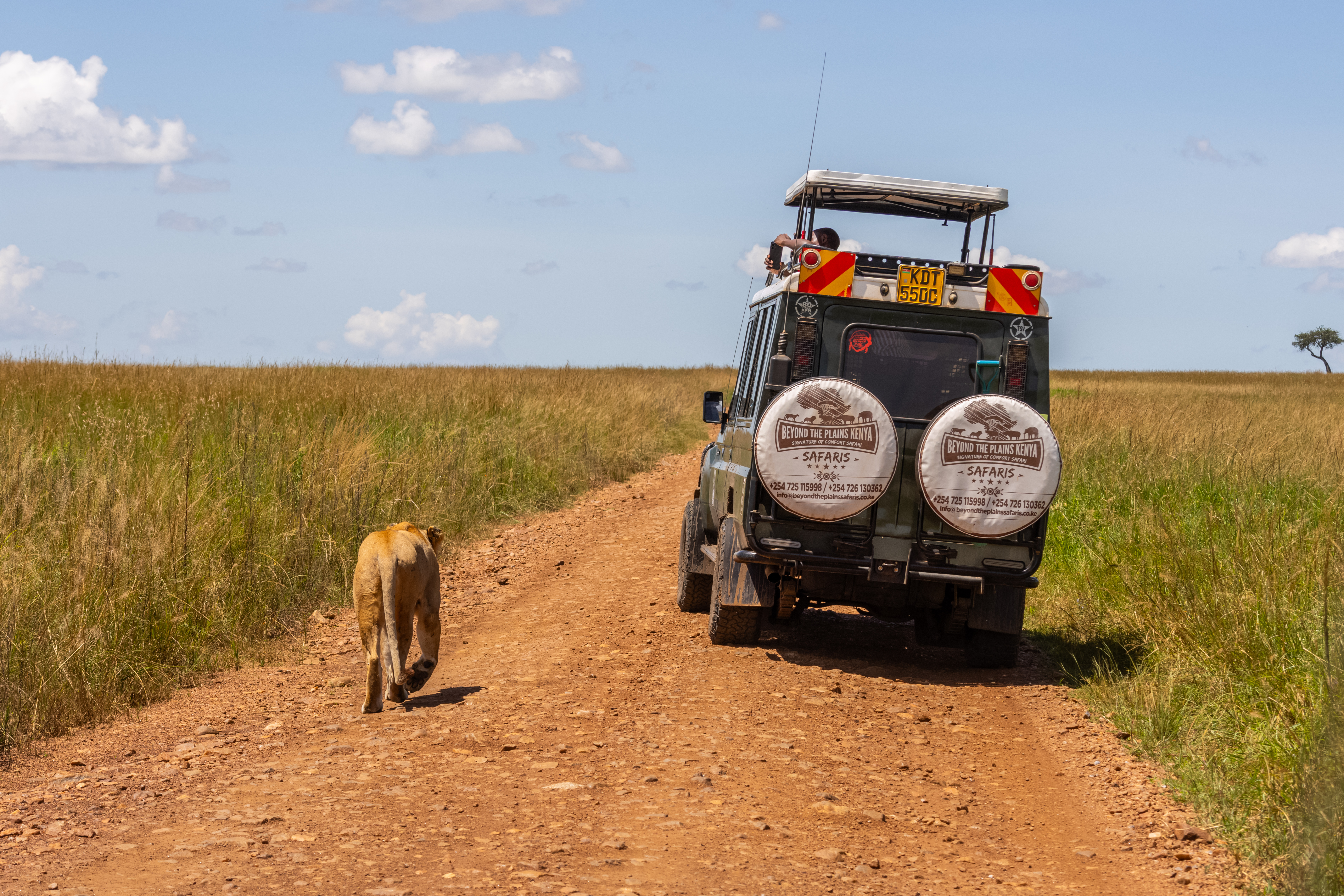 The Great Migration Kenya: Month-by-Month Guide to When, Where & How to See It