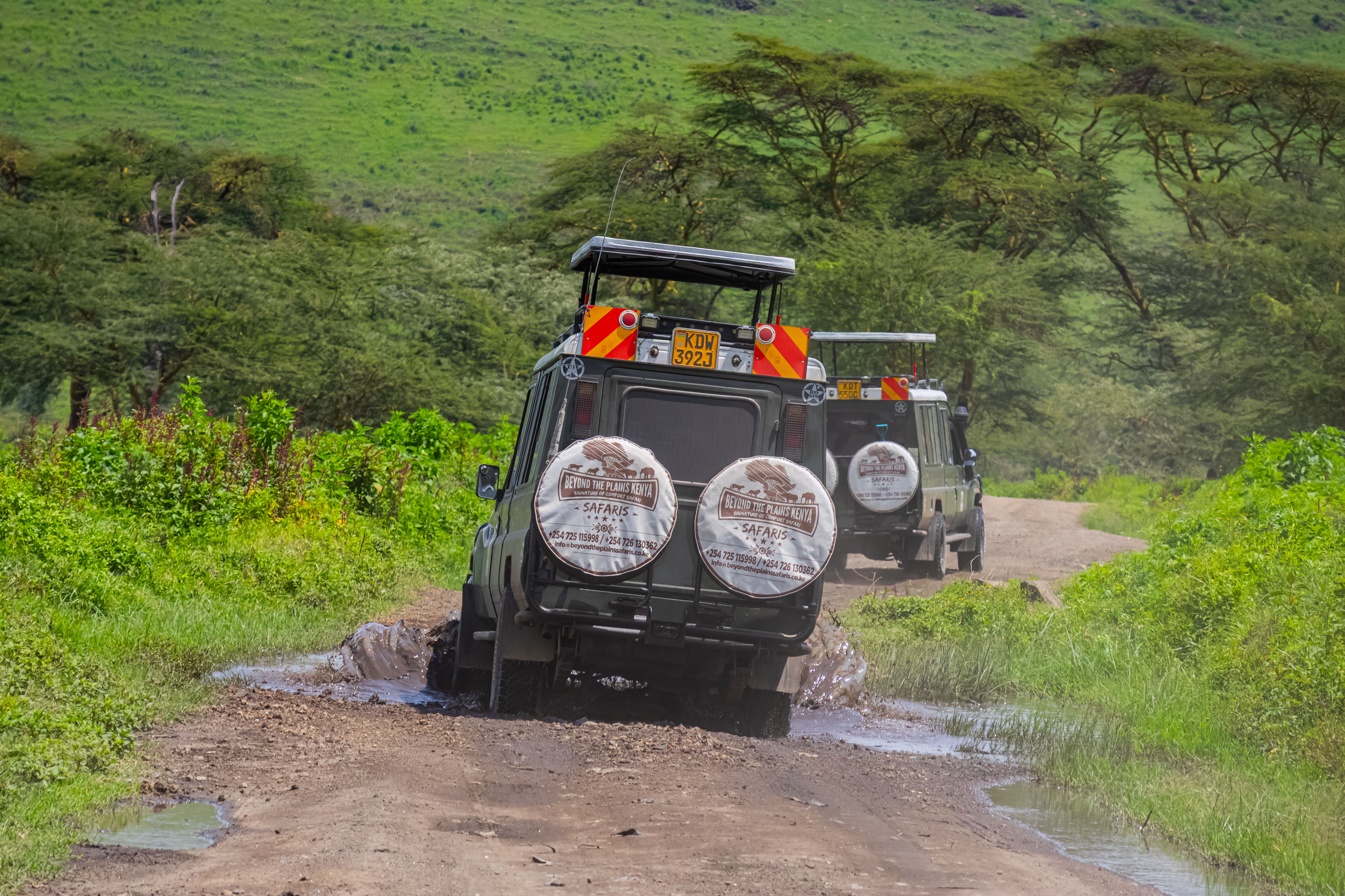 Kenya Safari: The Complete Beginner's Guide 