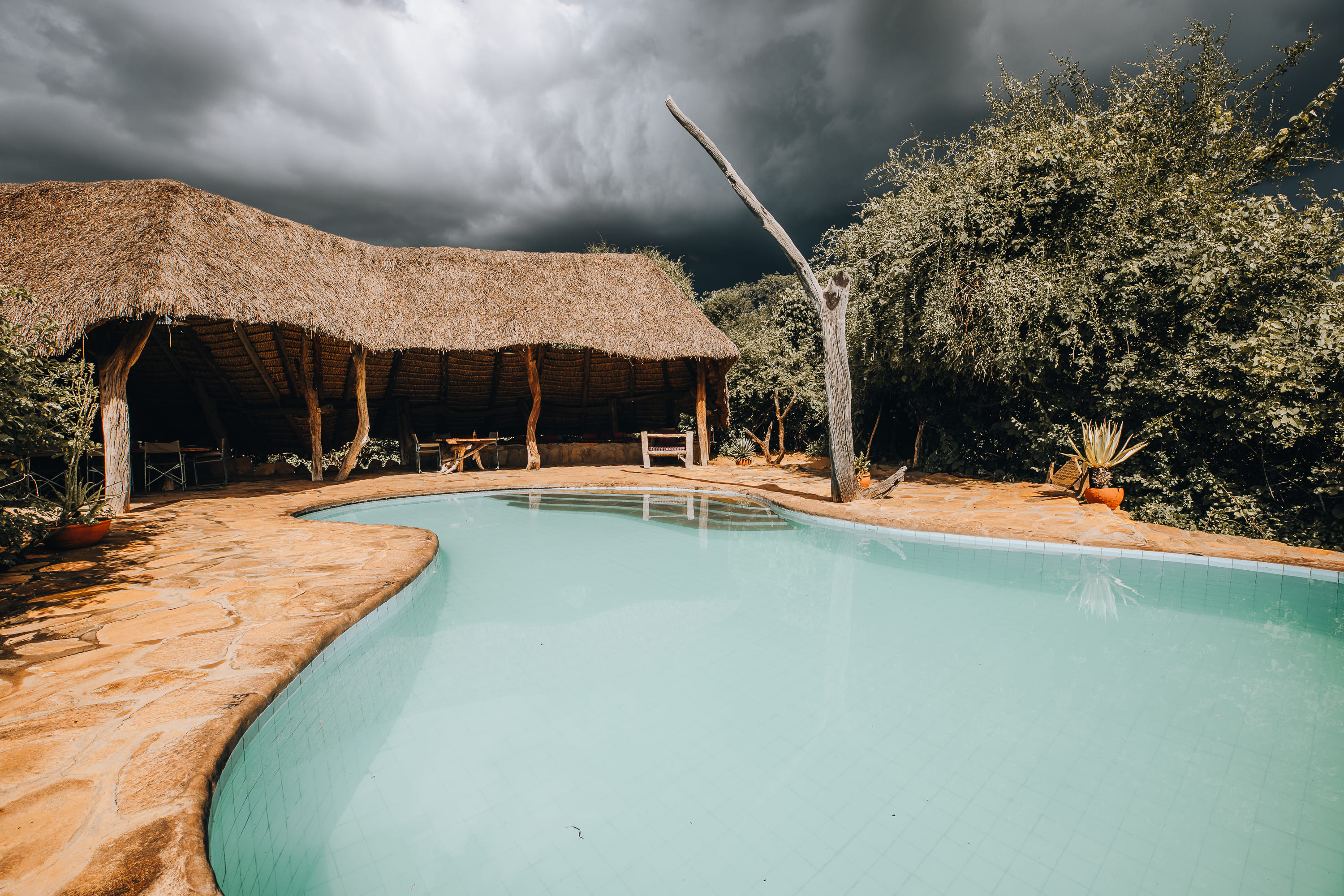 Open-air thatched lodge and swimming pool at a private Kenya safari conservancy camp, surrounded by indigenous bush