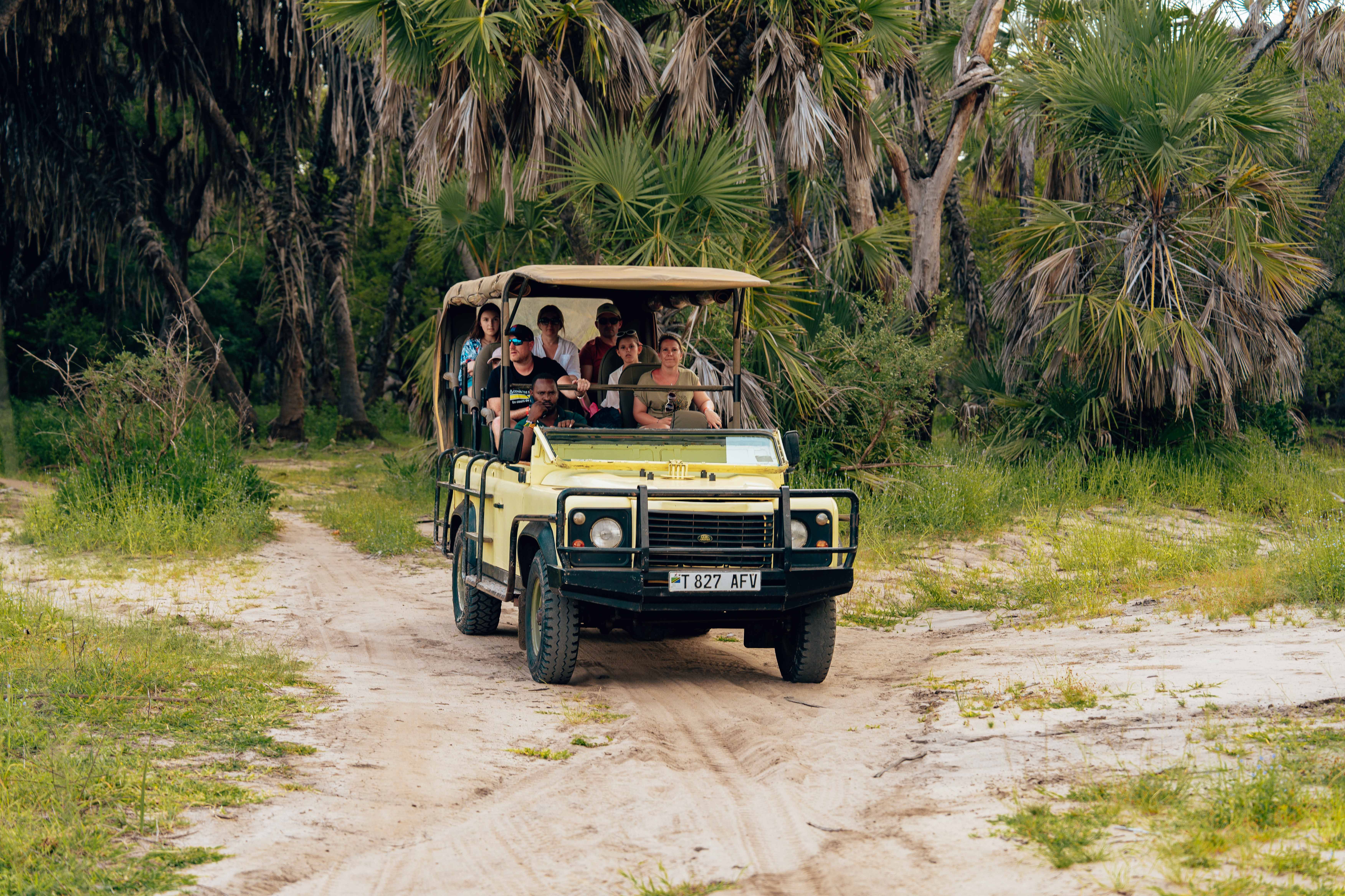 Group of safari guests riding in an open 4x4 Land Rover on a sandy bush track surrounded by palm trees