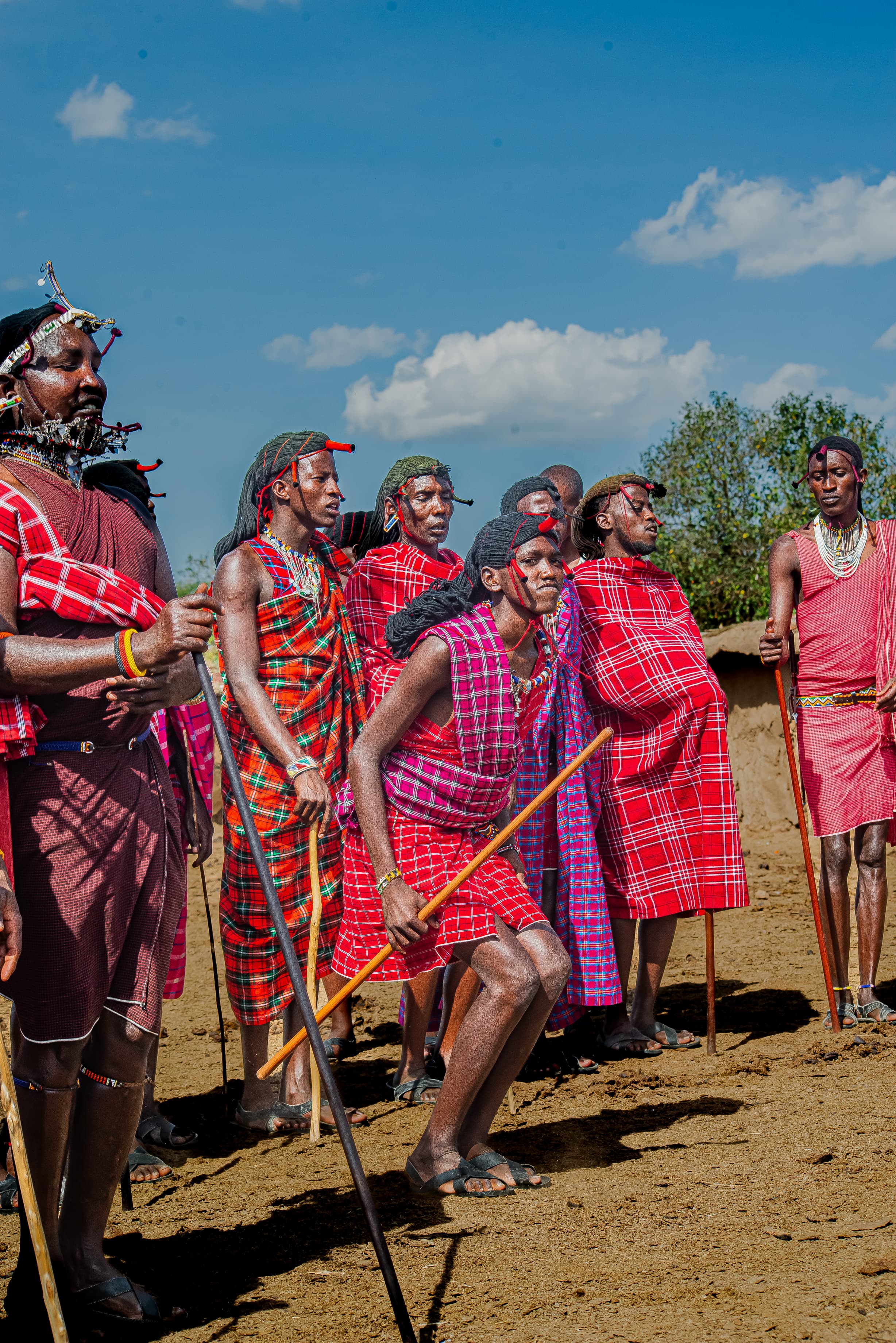 Group of Maasai warriors gathered in traditional dress preparing for the adumu welcome ceremony during a manyatta visit in the Maasai Mara Kenya