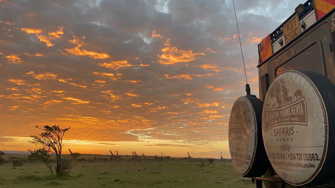 Kenya safari game drive with Beyond the Plains Safaris in Maasai Mara