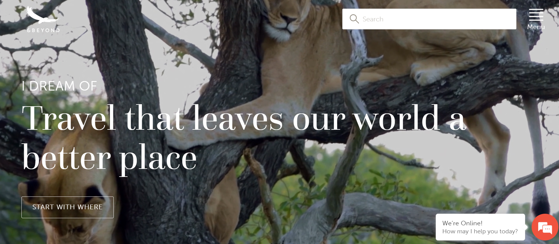 Screenshot of the &Beyond website homepage featuring lions resting in a tree and promoting sustainable luxury travel experiences with the message