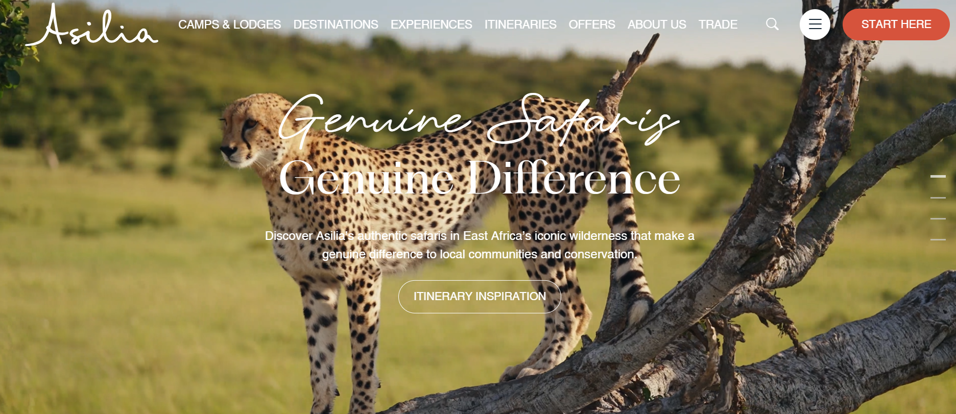 Asilia Africa homepage screenshot showcasing luxury East African safari experiences with a cheetah hero image, destination navigation, and itinerary planning options.