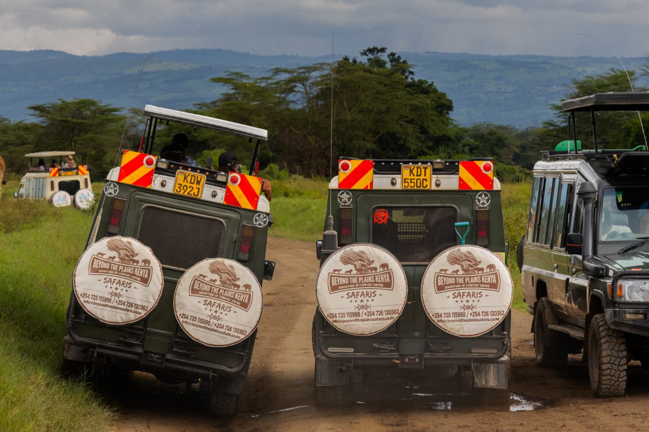 Best Kenya Safari Companies for Seniors from the USA: Comfort, Accessibility & Luxury Compared