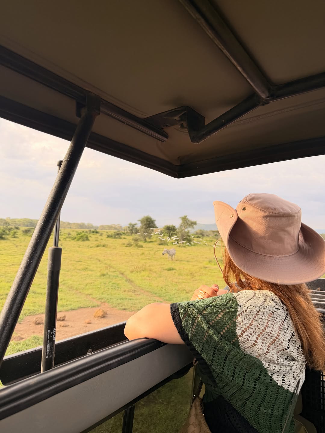 Safari traveller in bush hat watching zebra from open-sided game drive vehicle on Kenya fly-in safari