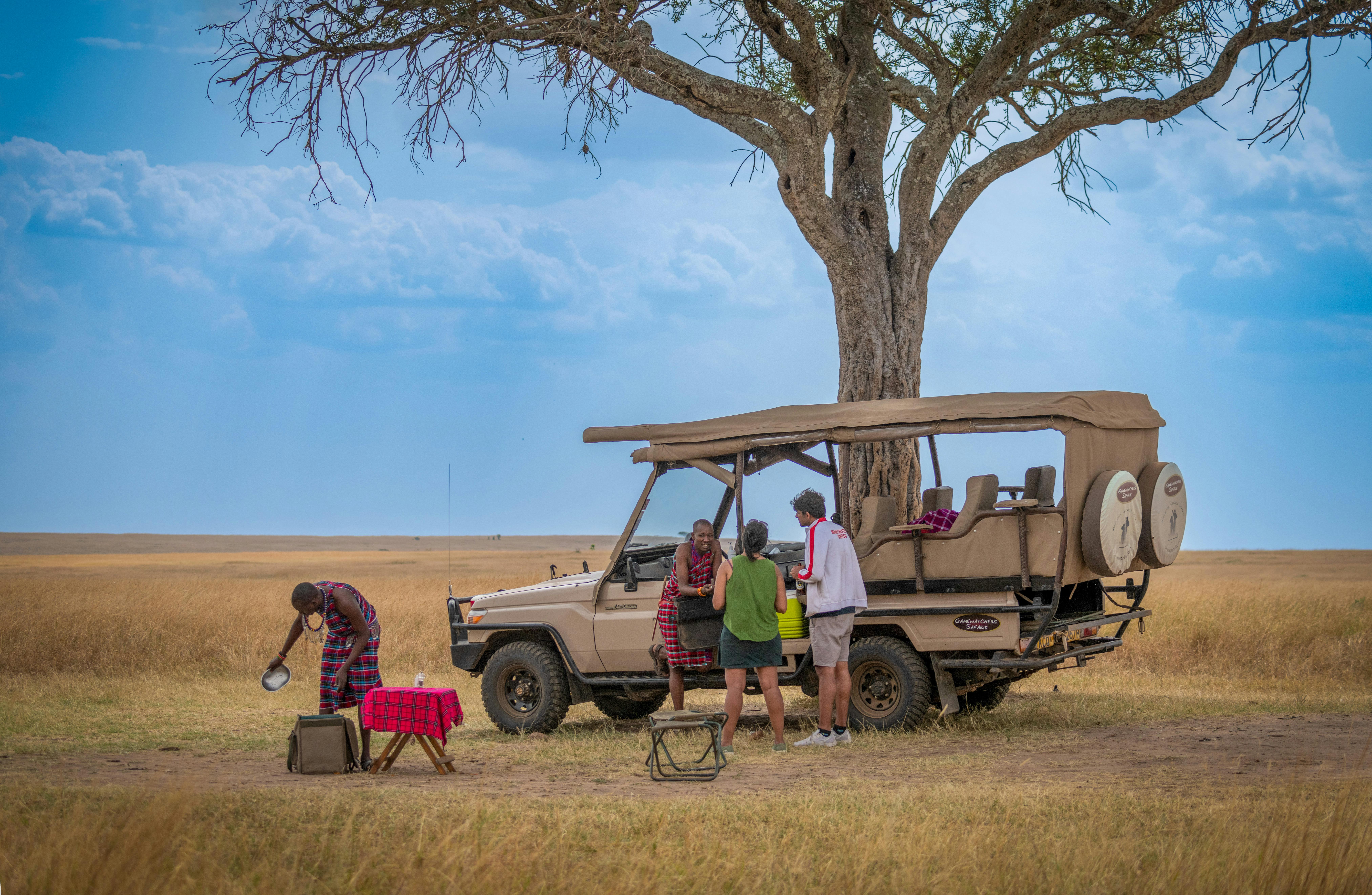 Maasai guides preparing a bush breakfast beside a safari Land Cruiser under an acacia tree on the open plains of the Masai Mara