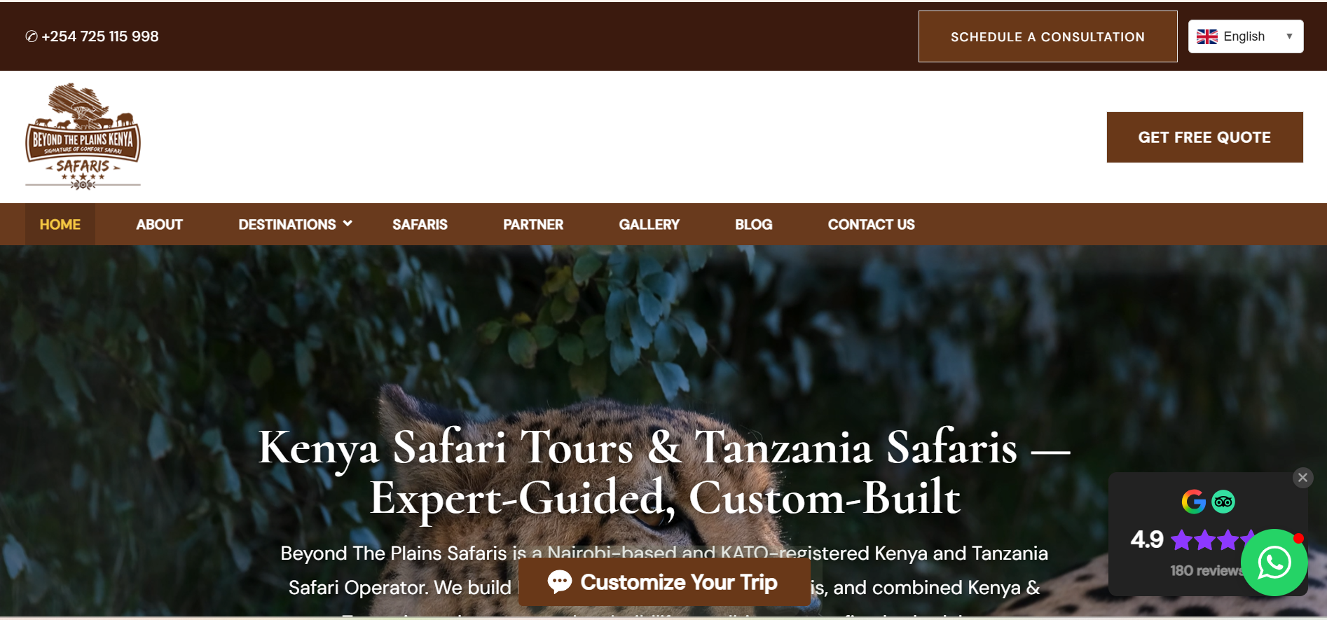 Best Safari Tour Operators in Tanzania: Top Companies to Know Before You Book