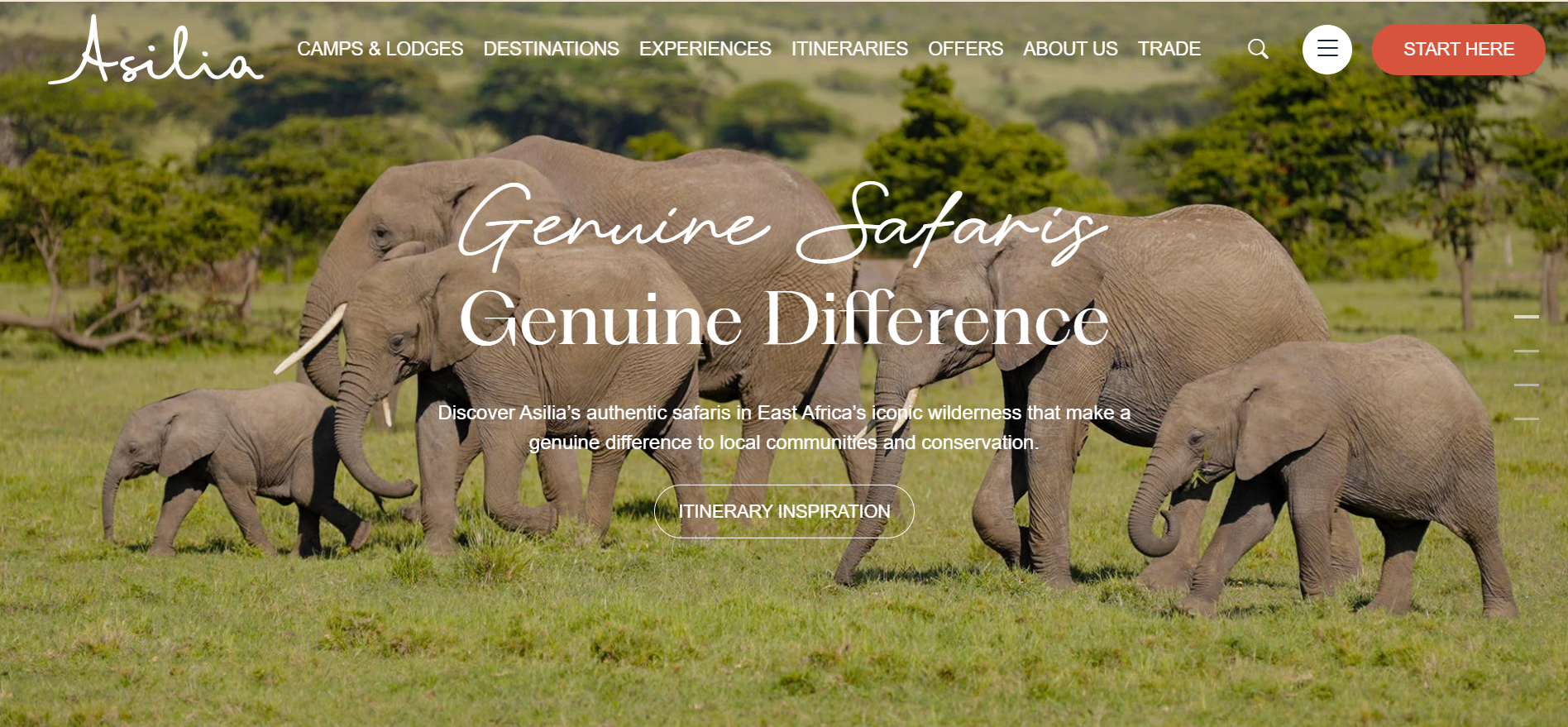 Best Safari Tour Operators in Tanzania: Top Companies to Know Before You Book