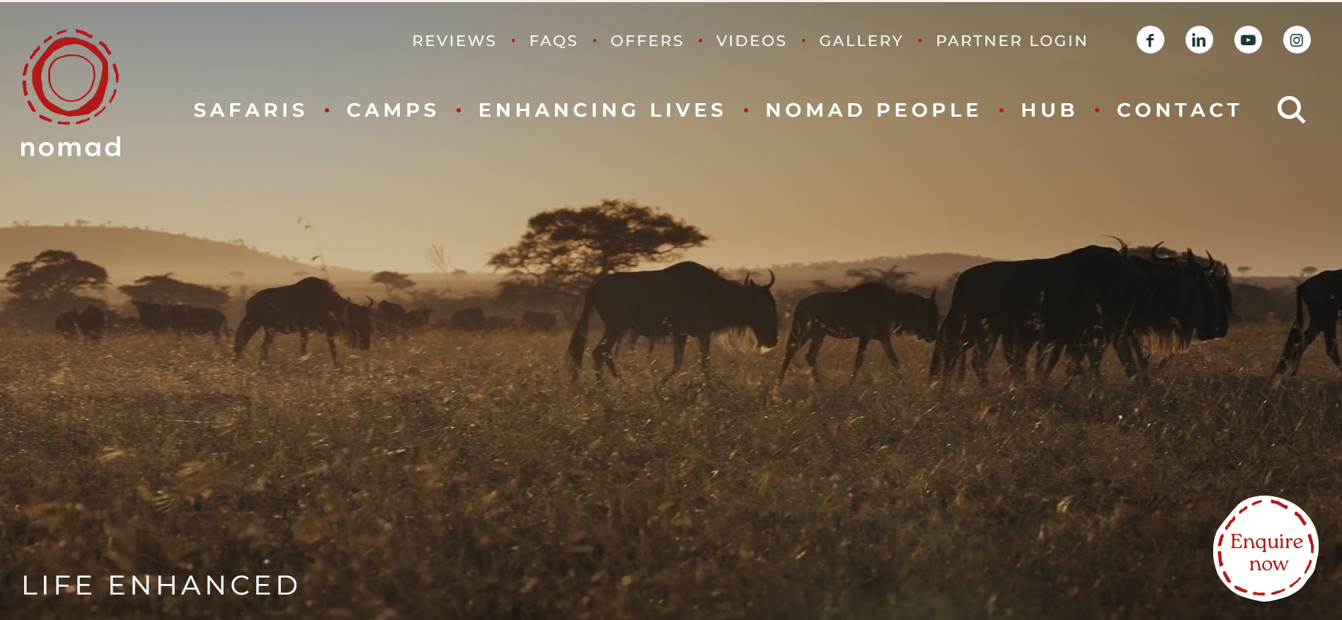Best Safari Tour Operators in Tanzania: Top Companies to Know Before You Book