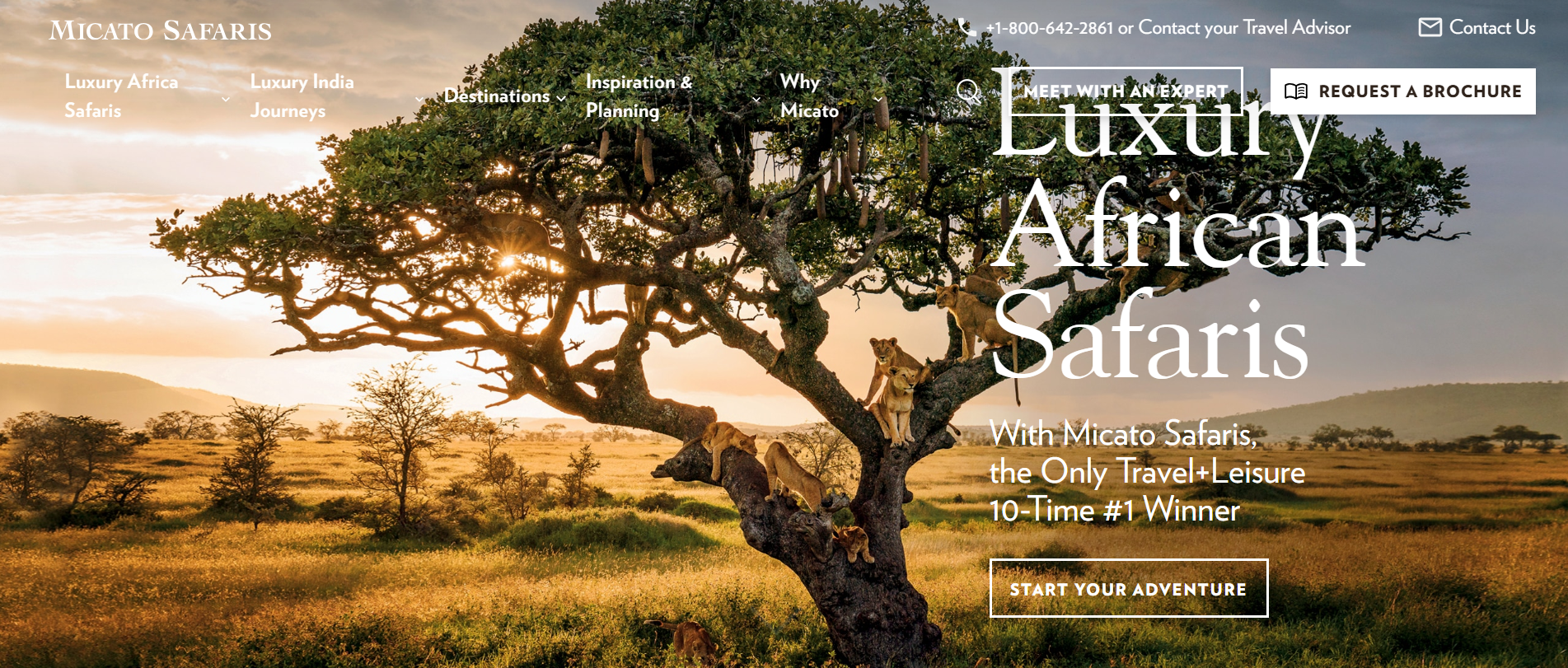 Top 10 Luxury Safari Operators in Kenya (2026 &amp; 2027): Ranked by a Nairobi-Based Expert