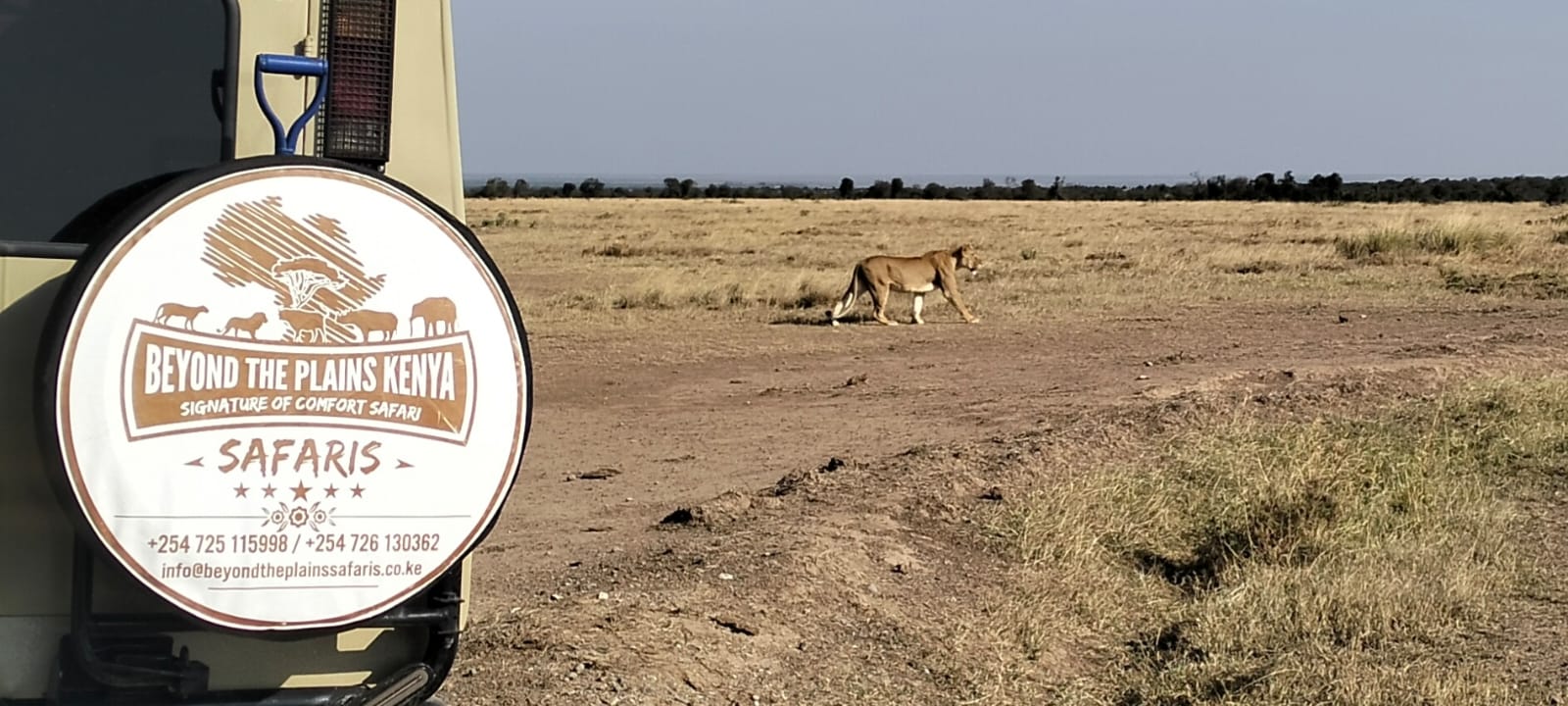 Kenya Safari for Indian Travelers: The Complete Guide to Visa, Costs & Best Time to Go