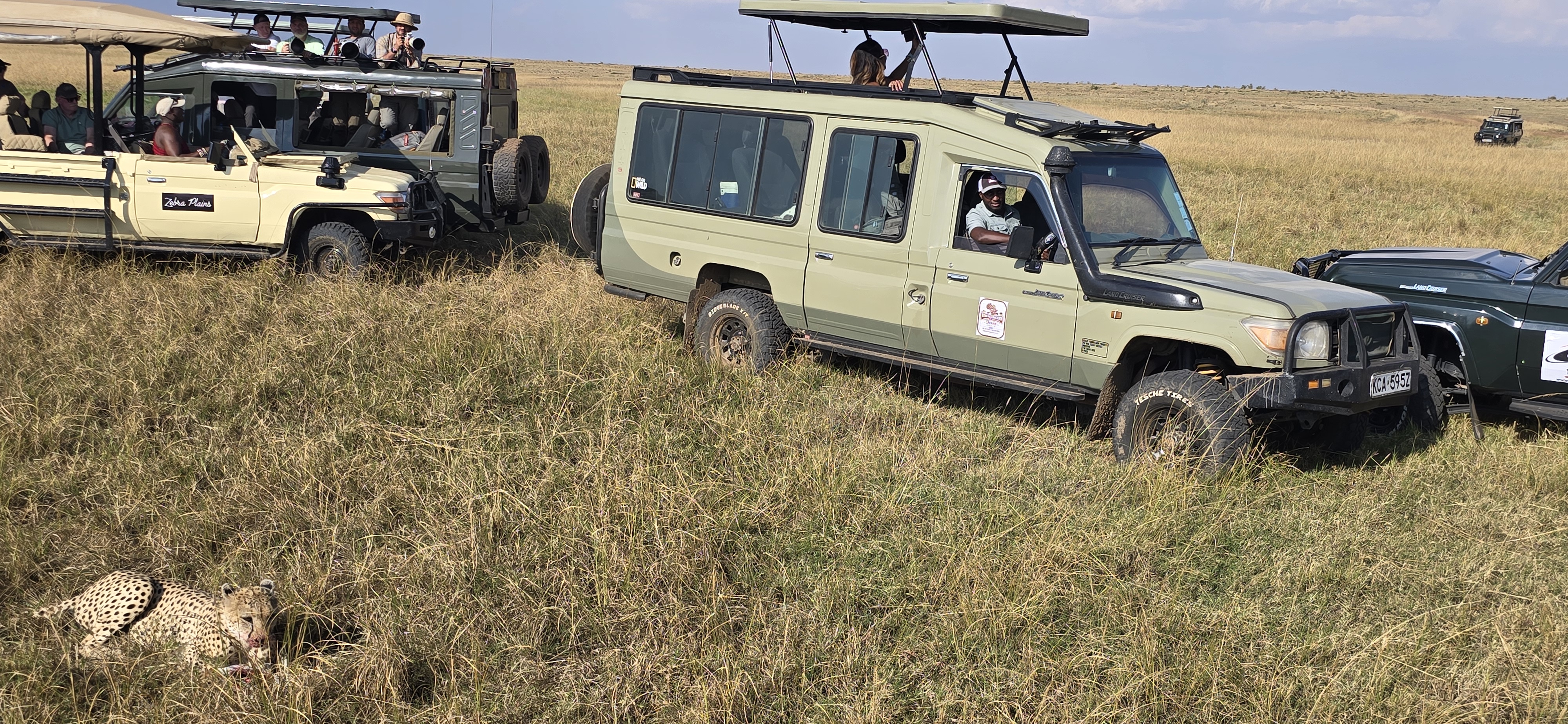 Kenya Safari Tours from the UK: The Complete Guide to Flights, Costs & Best Season