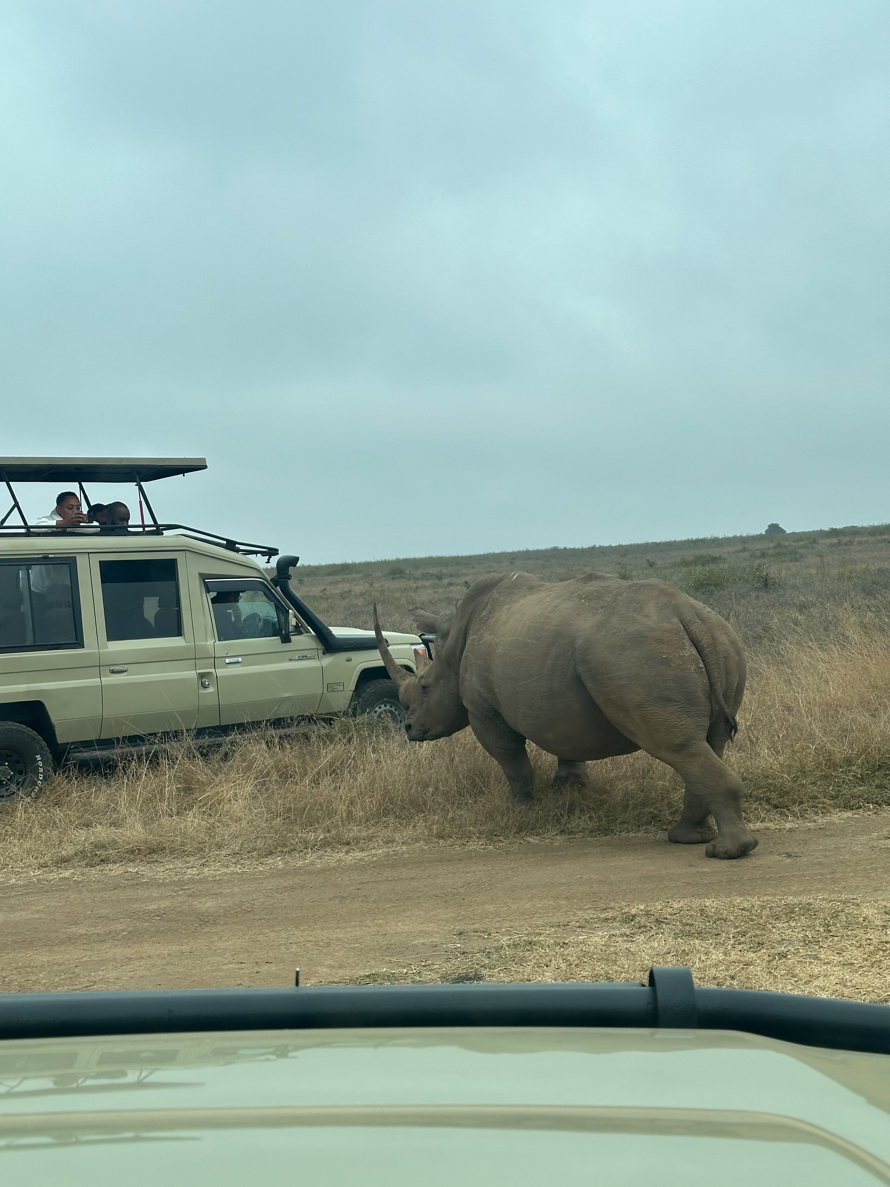 Lake Nakuru National Park: The Ultimate Guide to Flamingos, Rhinos & the Best Time to Visit