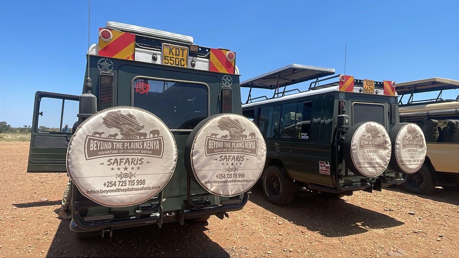 Is the Maasai Mara Too Crowded? What the Vehicle Numbers Actually Show