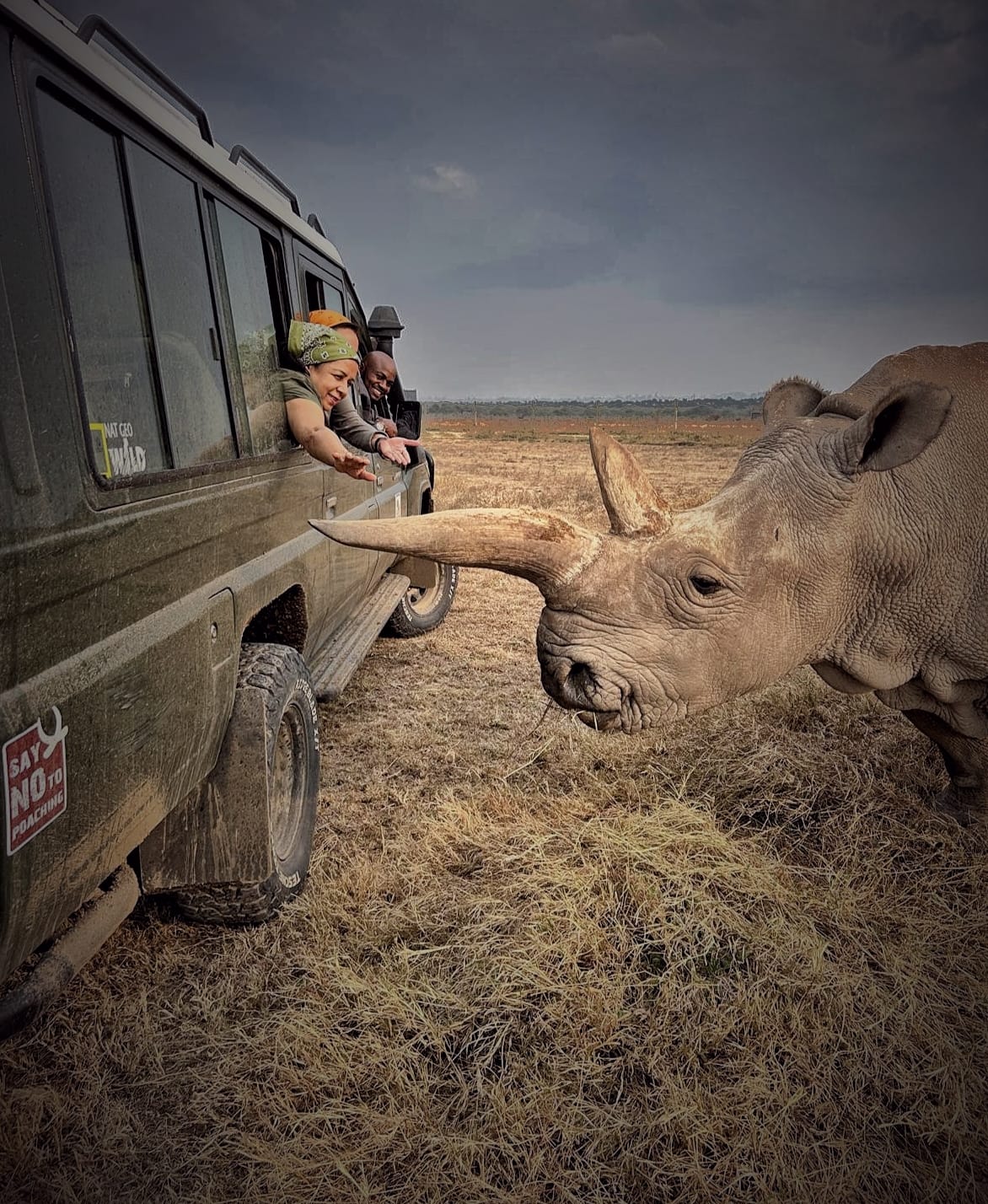 Anti-poaching rhino conservation encounter on an Ol Pejeta safari