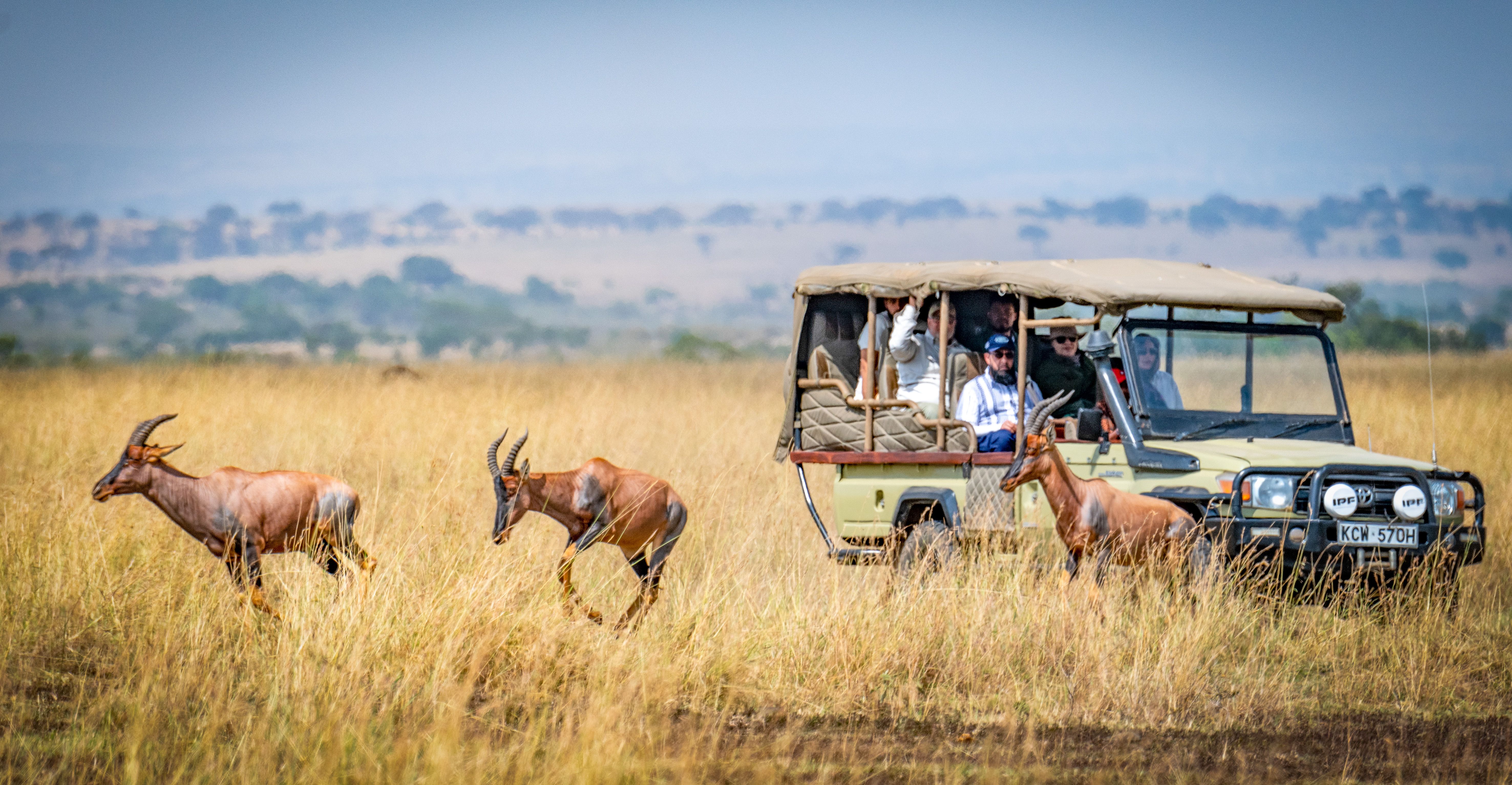 The Complete Guide to a Kenya FAM Trip for Travel Professionals